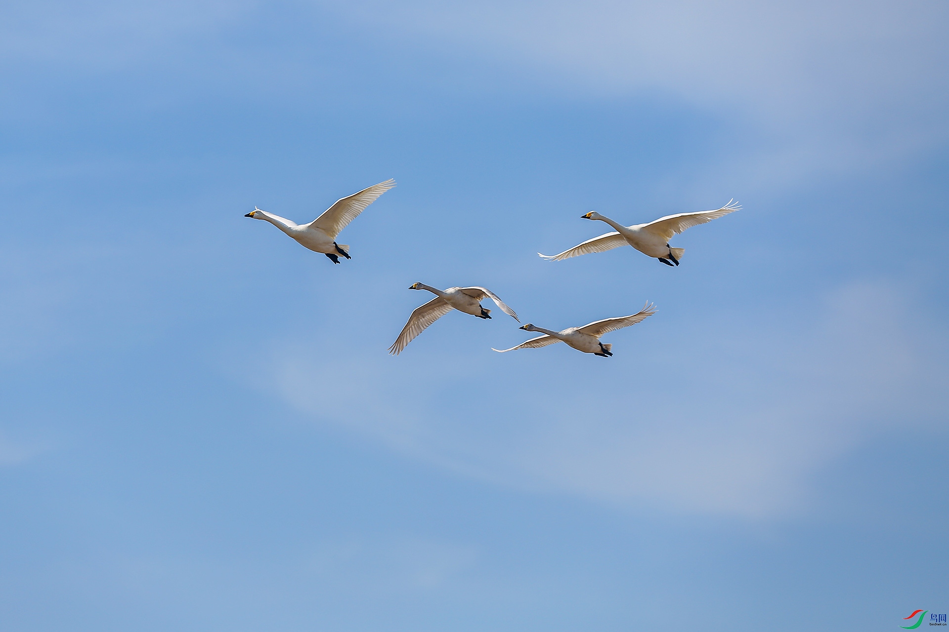XT5A2168����.jpg