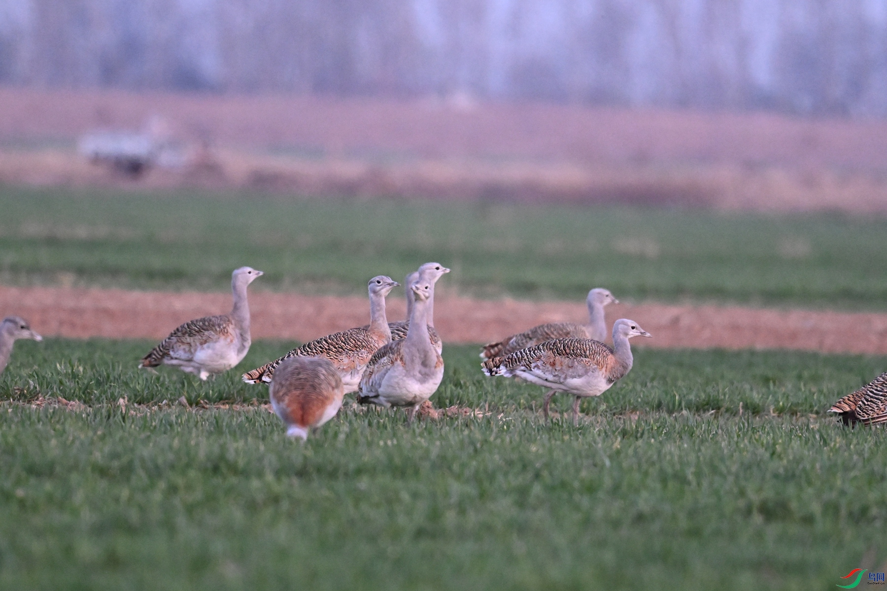 DSC_1673.JPG