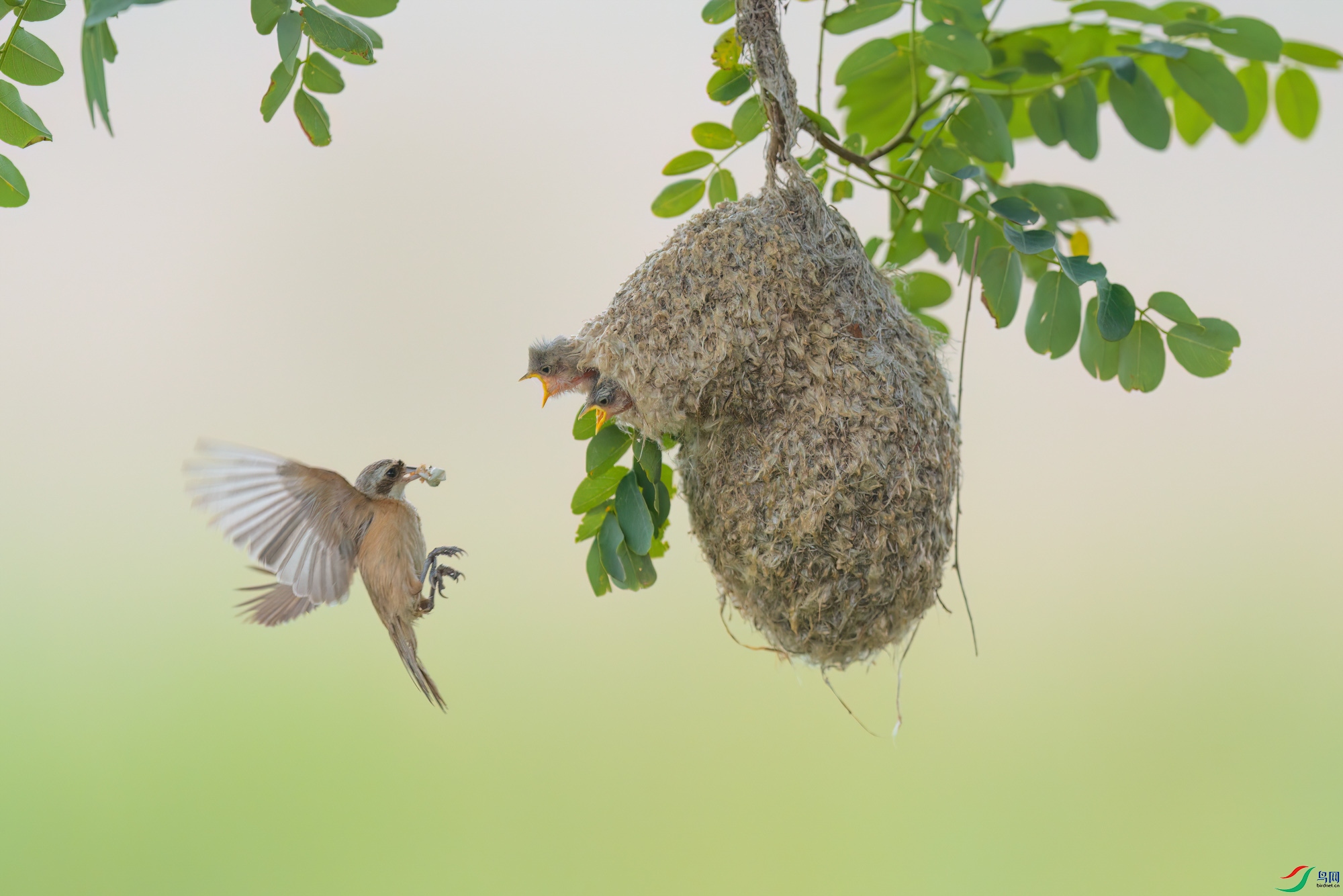 DSC00881-DxO_DeepPRIME 3-1.jpg