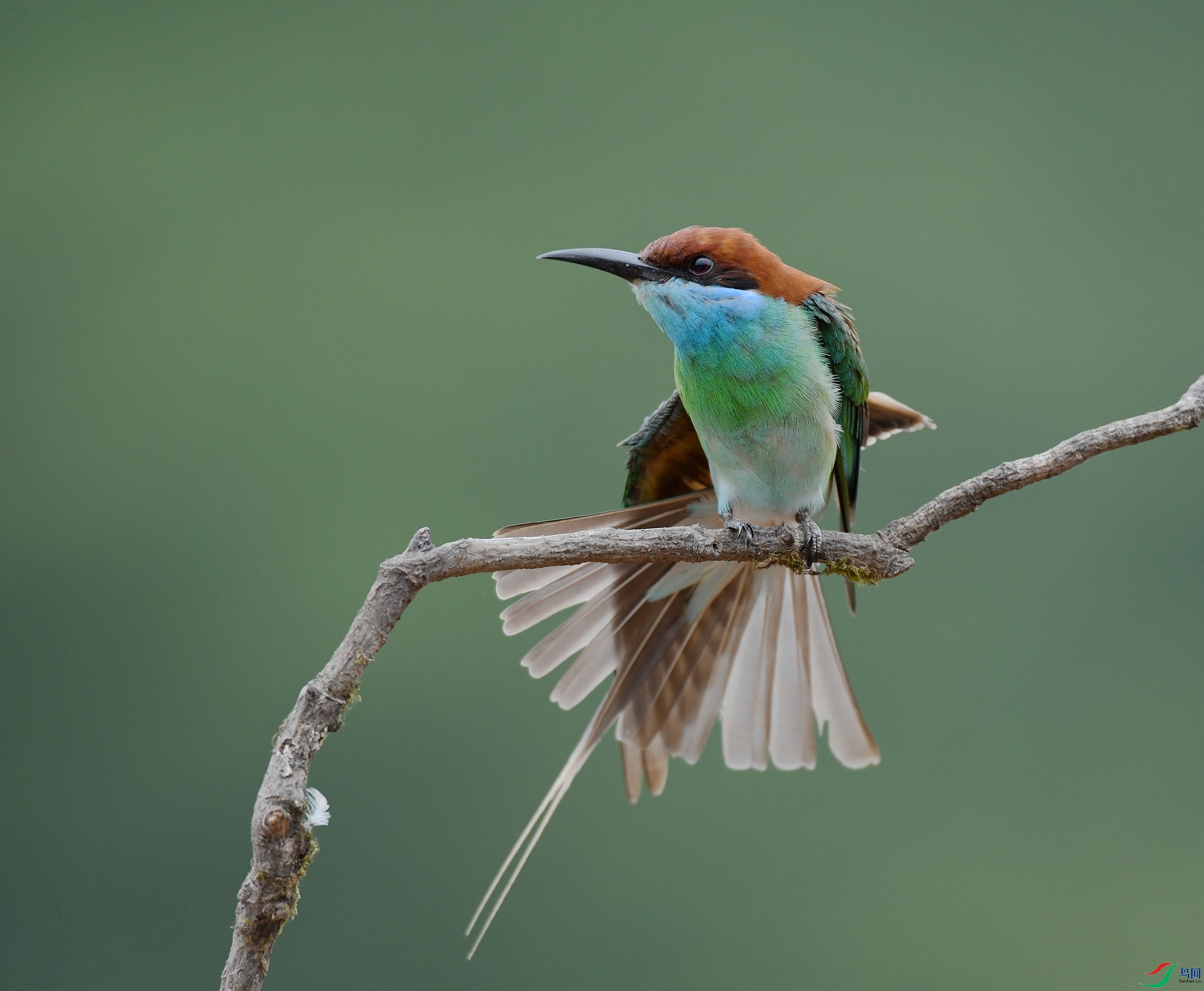 DSC_1237.jpg
