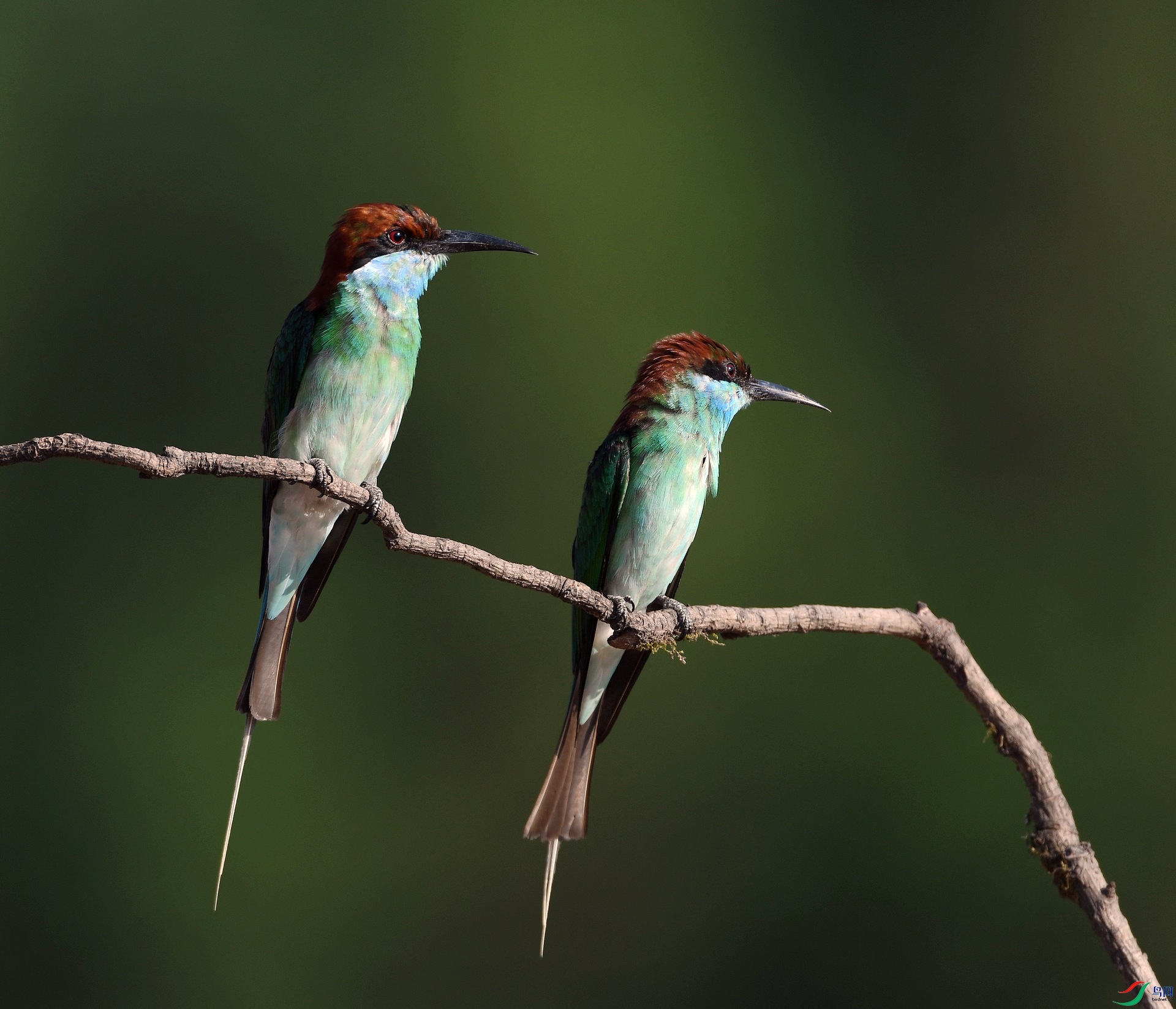 DSC_4673.jpg