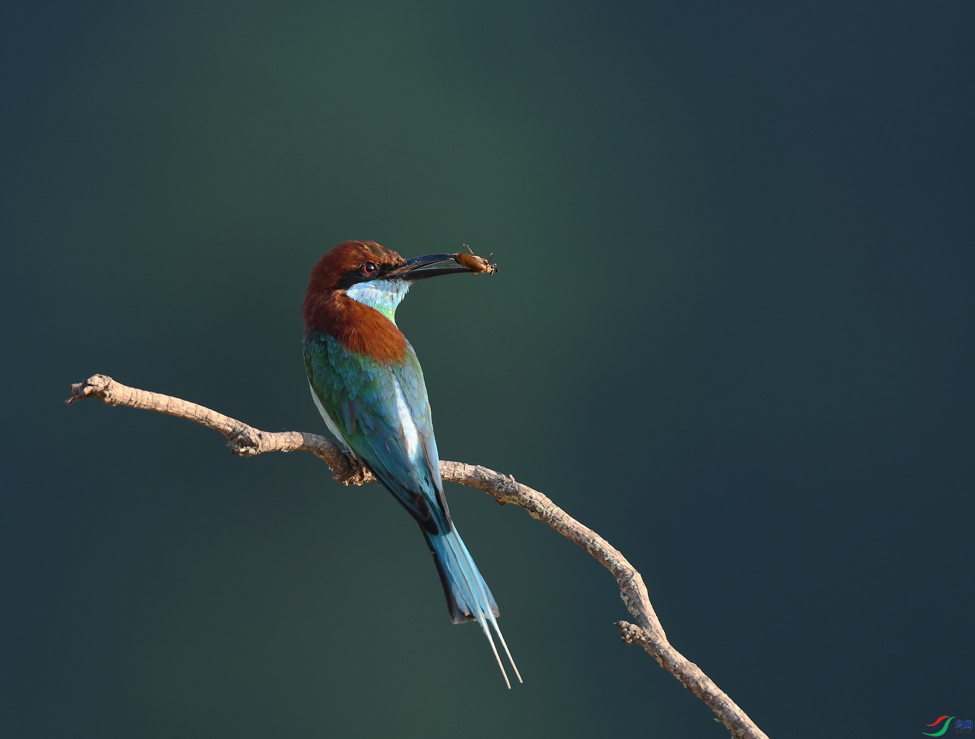 DSC_5374.jpg