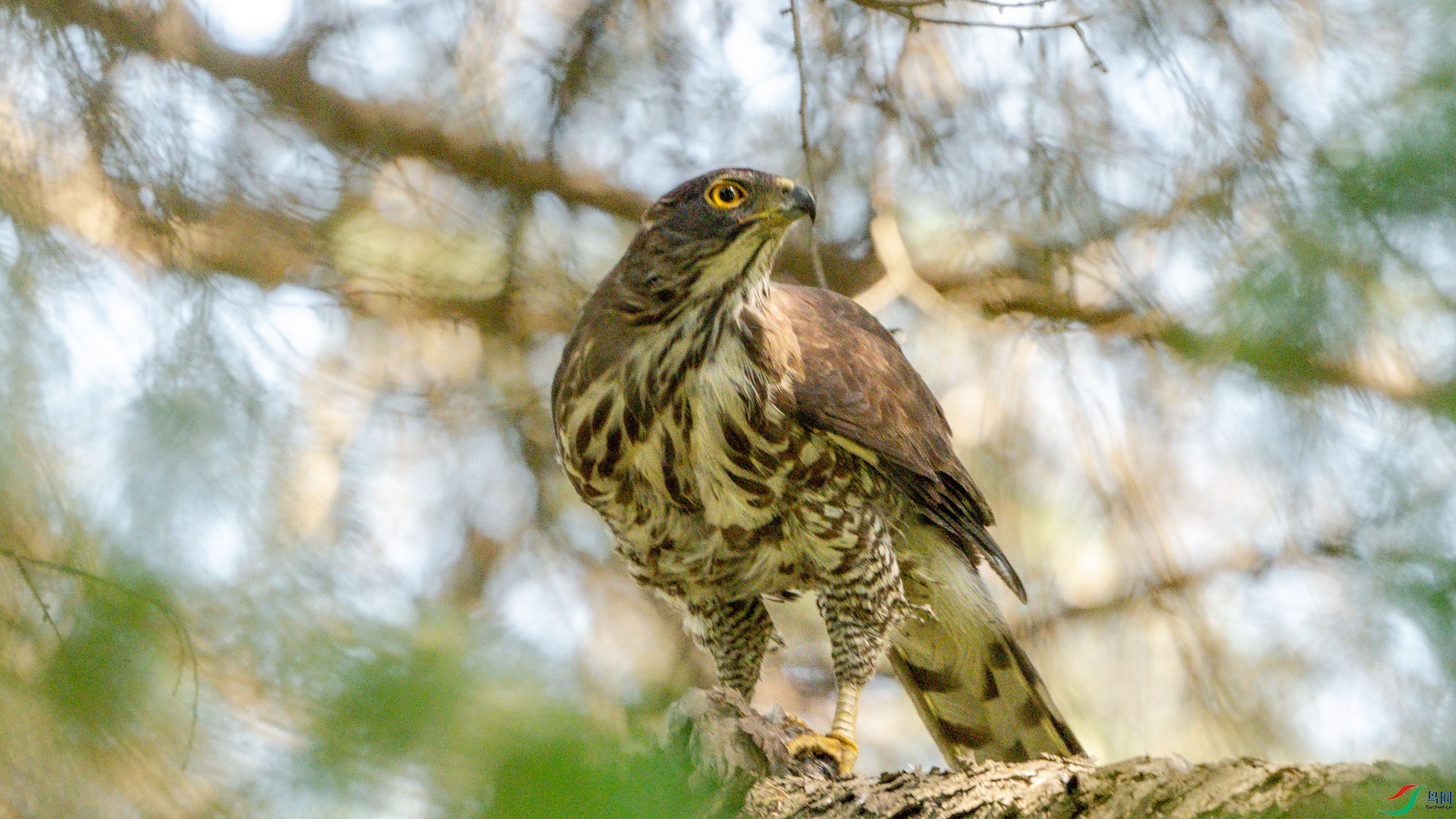 DSC_3361.jpg