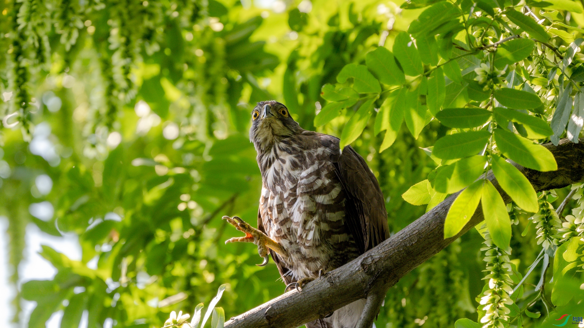 DSC_1798.jpg