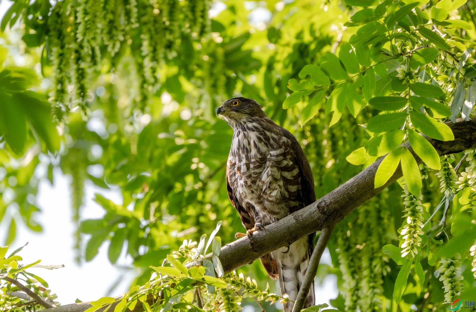 DSC_1829.jpg