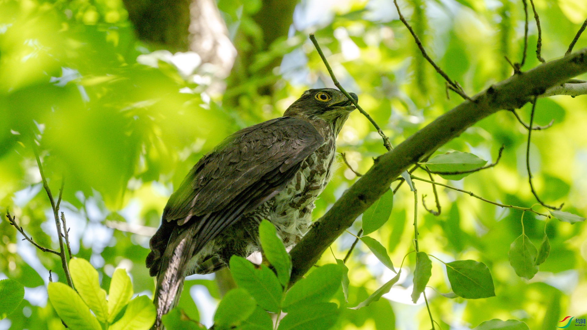 DSC_2054.jpg