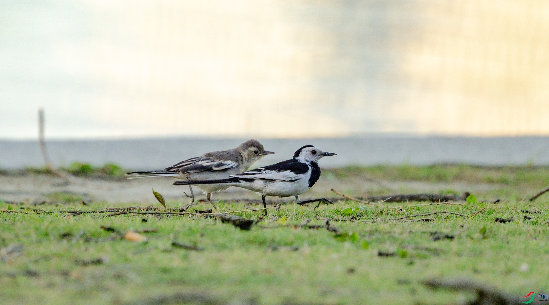 DSC_2488.jpg