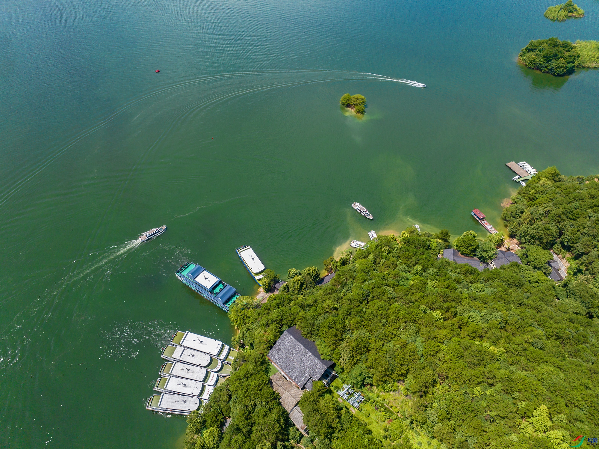 DJI_20240721105751_0214_D ����.jpg