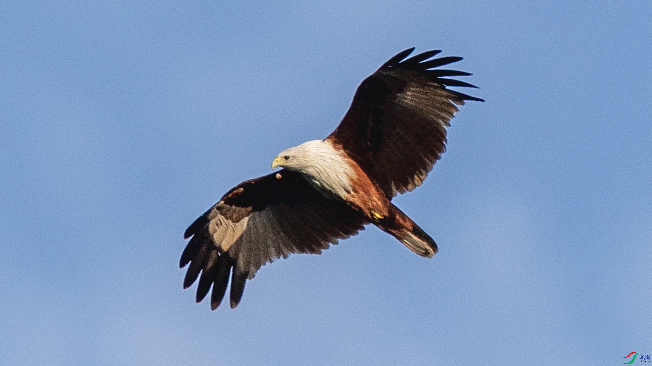 4Z6A5900.jpg