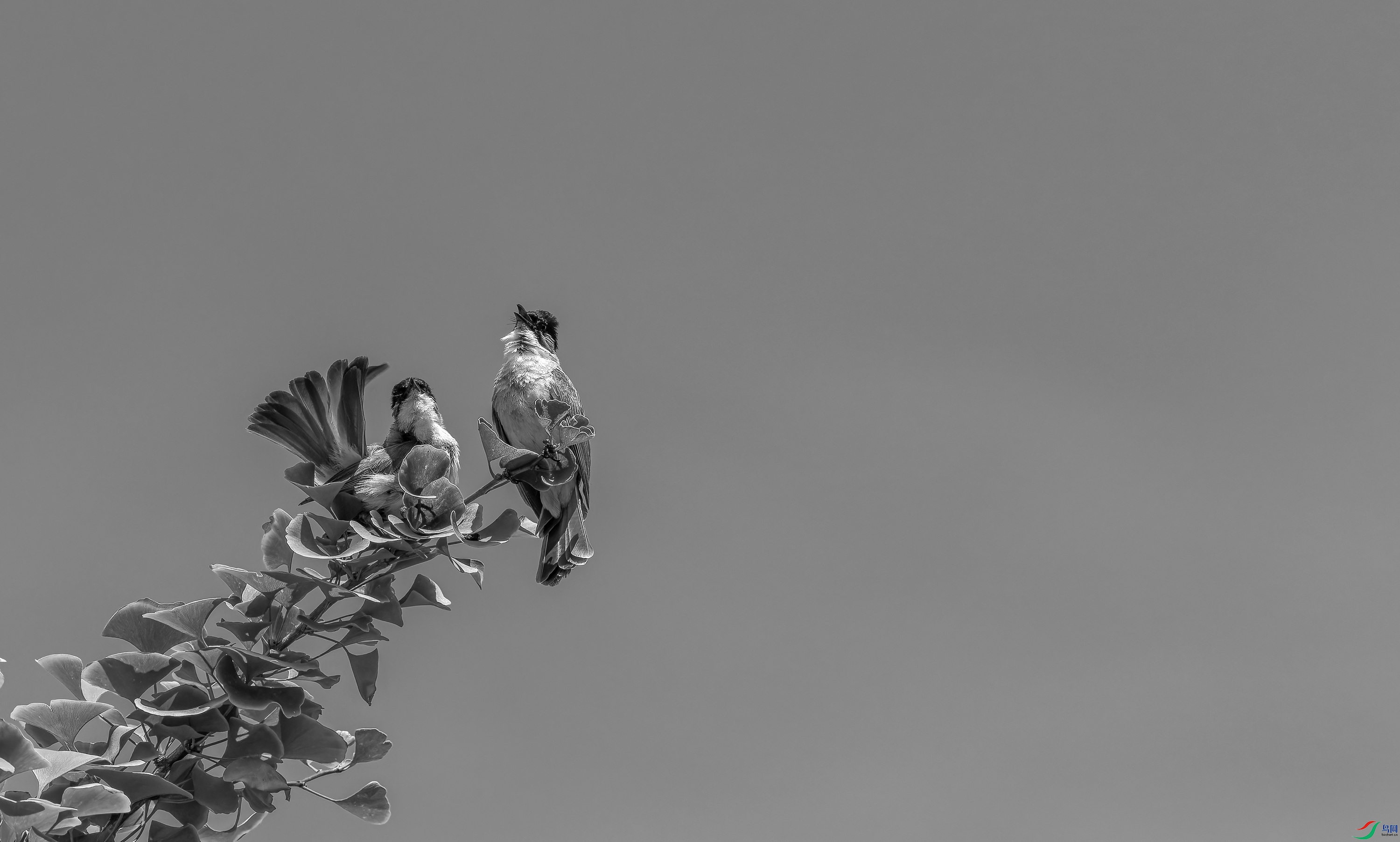 ������ (2)=01.jpg