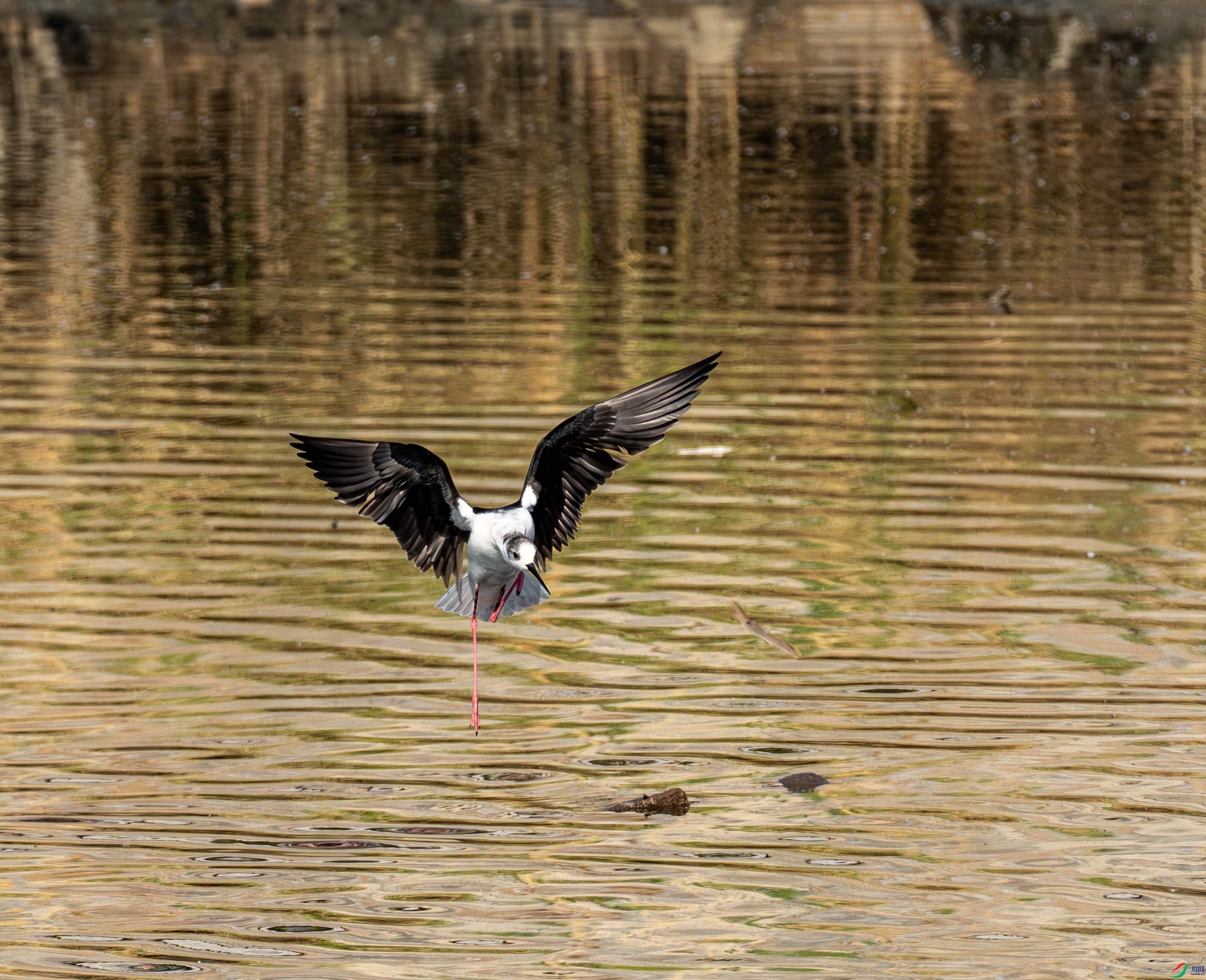 �ڳ᳤���� (14 - 21).jpg