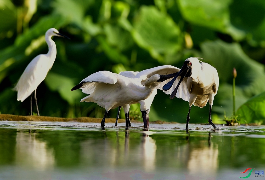 �ٴ�Ҳ�Ǻ��ӡ�