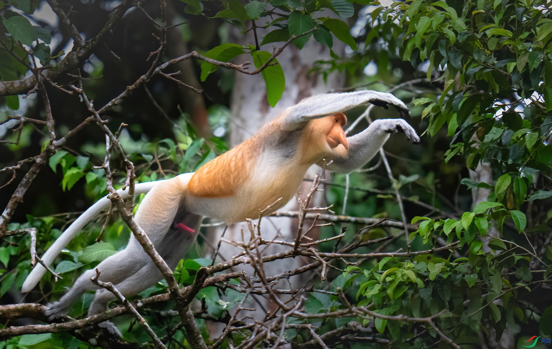 DSC06875-denoise-denoise.jpg
