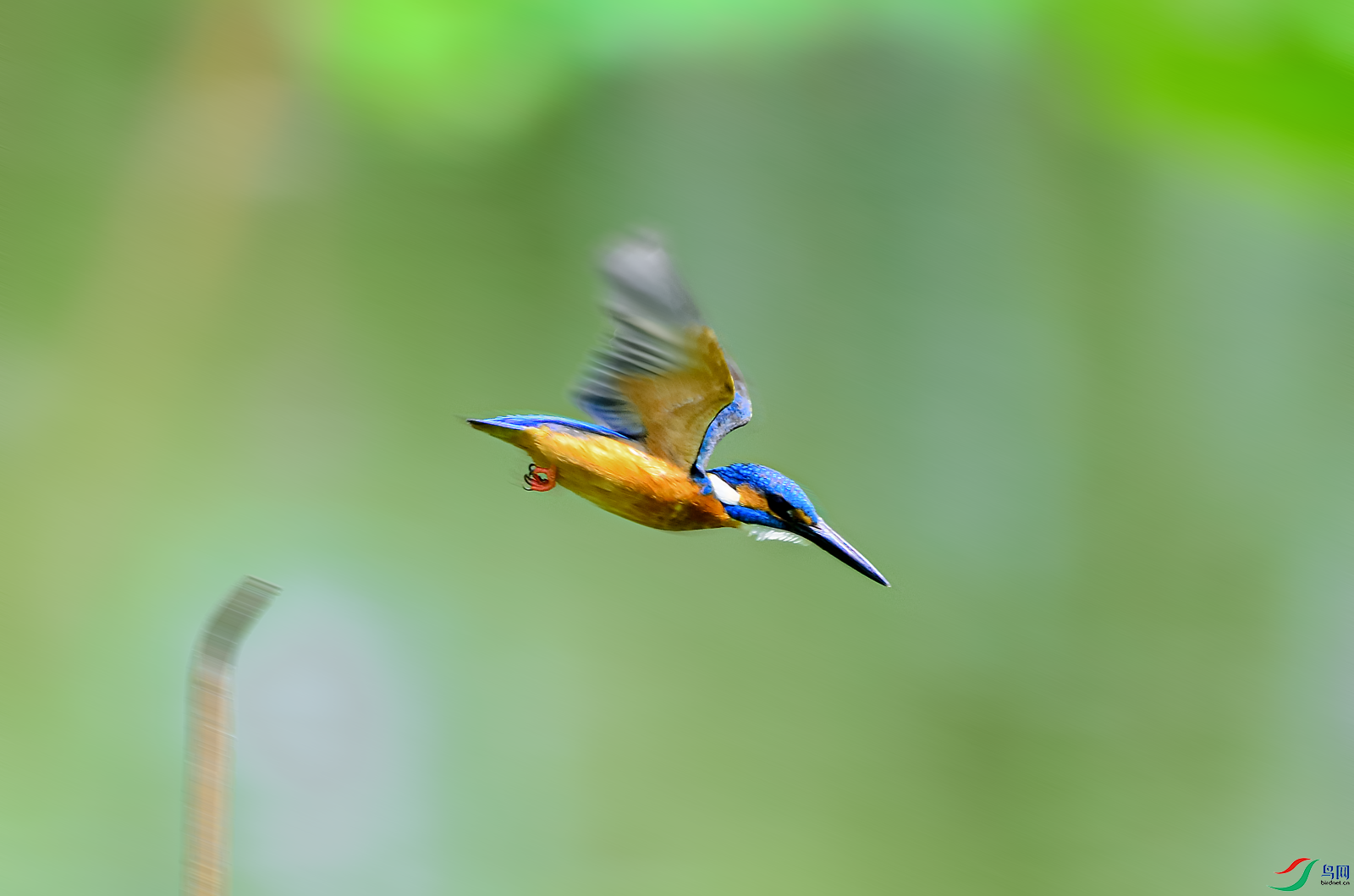 _DSC0020.PNG