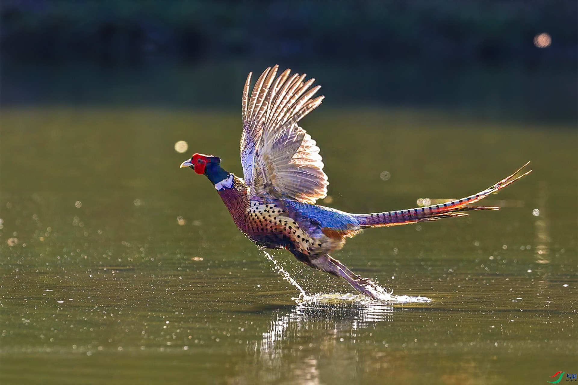 7��13�ա�� .jpg