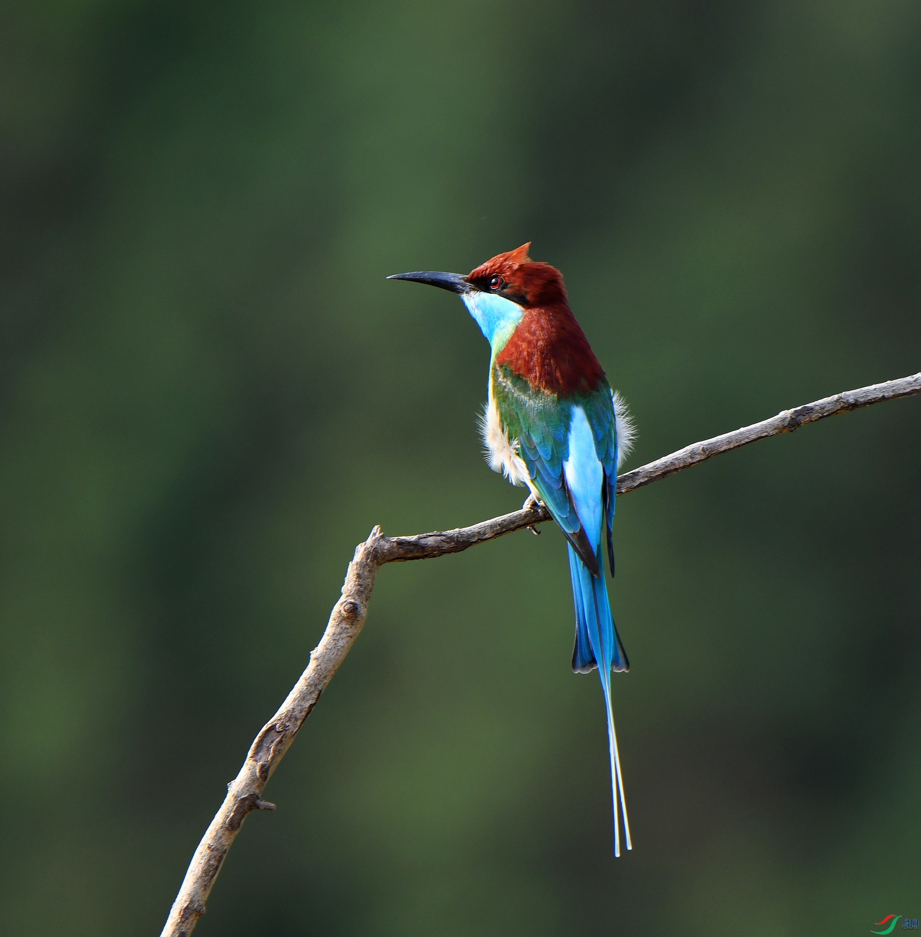 DSC_8903.jpg