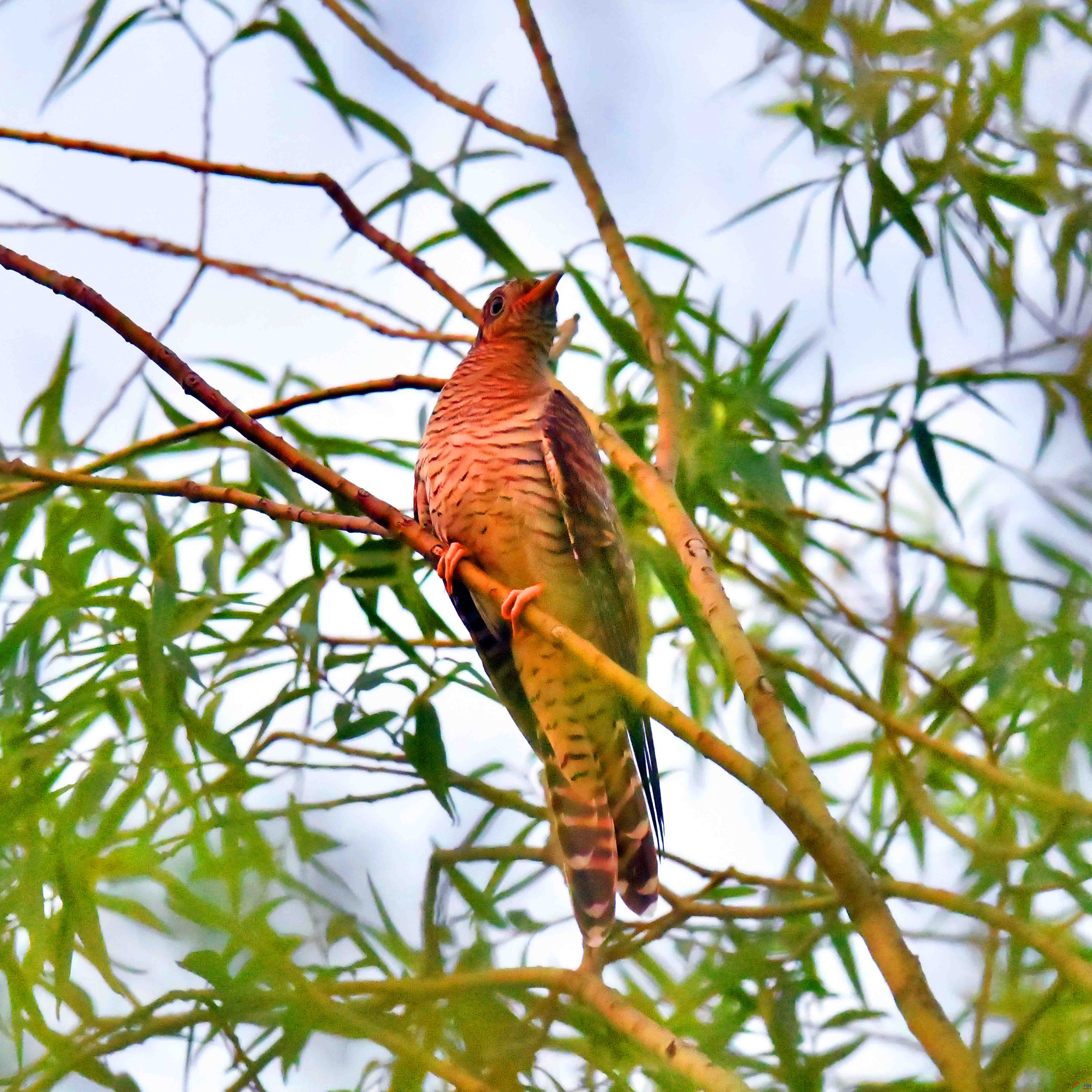 DSC_3357.JPG