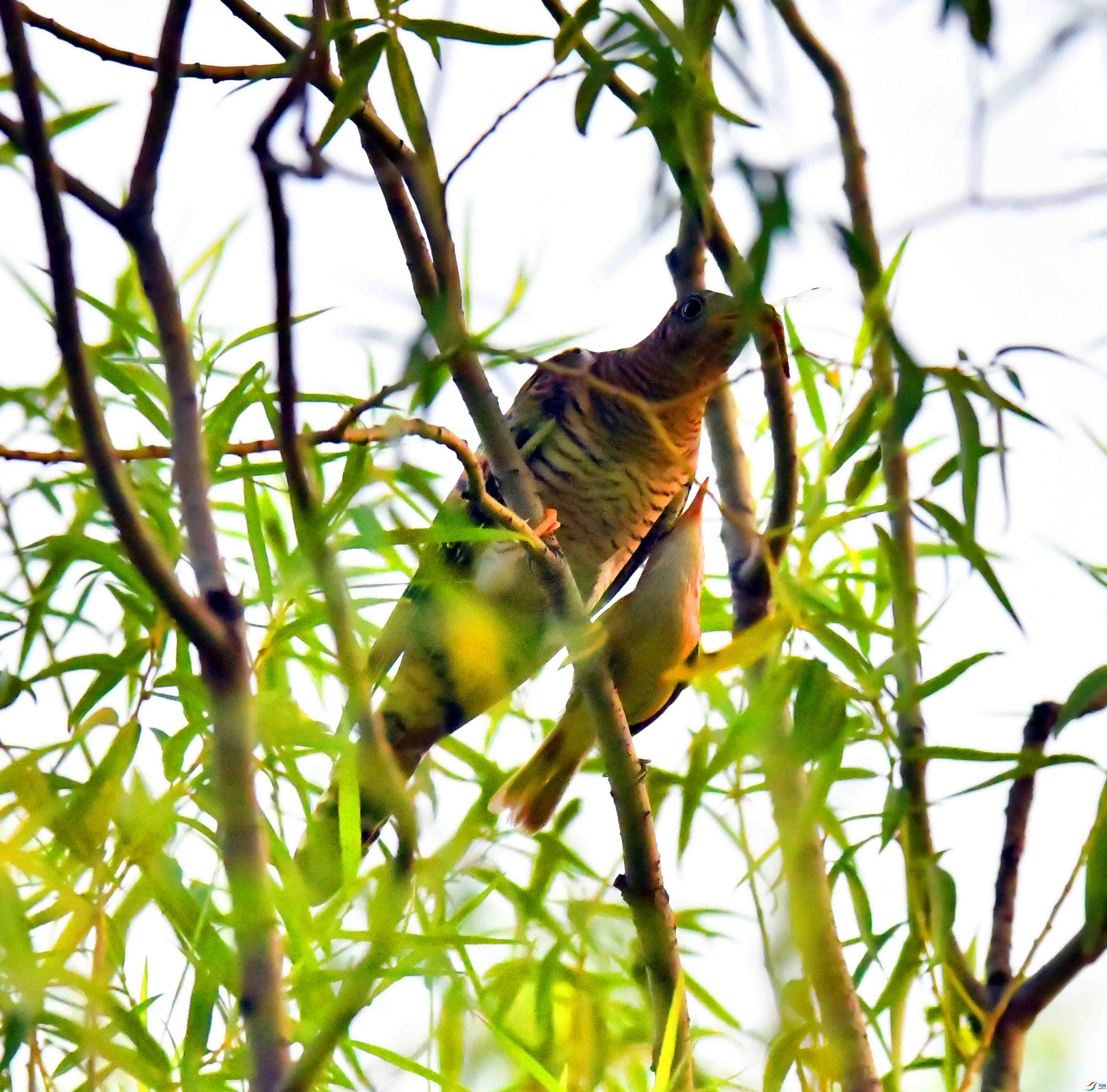 DSC_3458.JPG