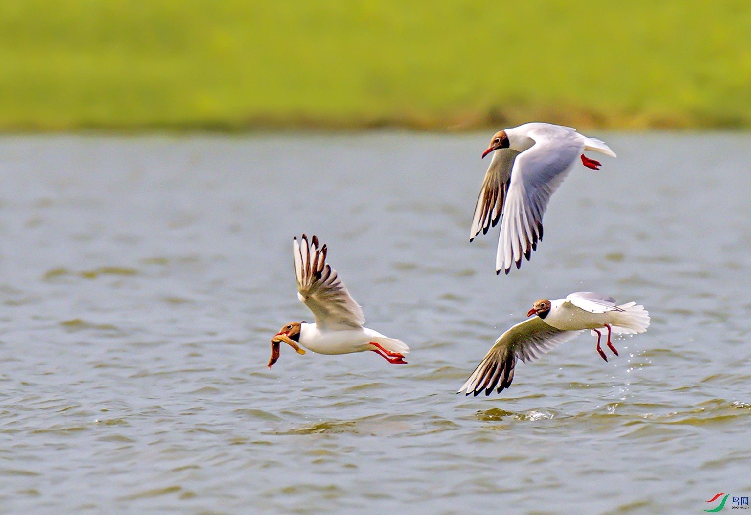 DSC_5730.jpg