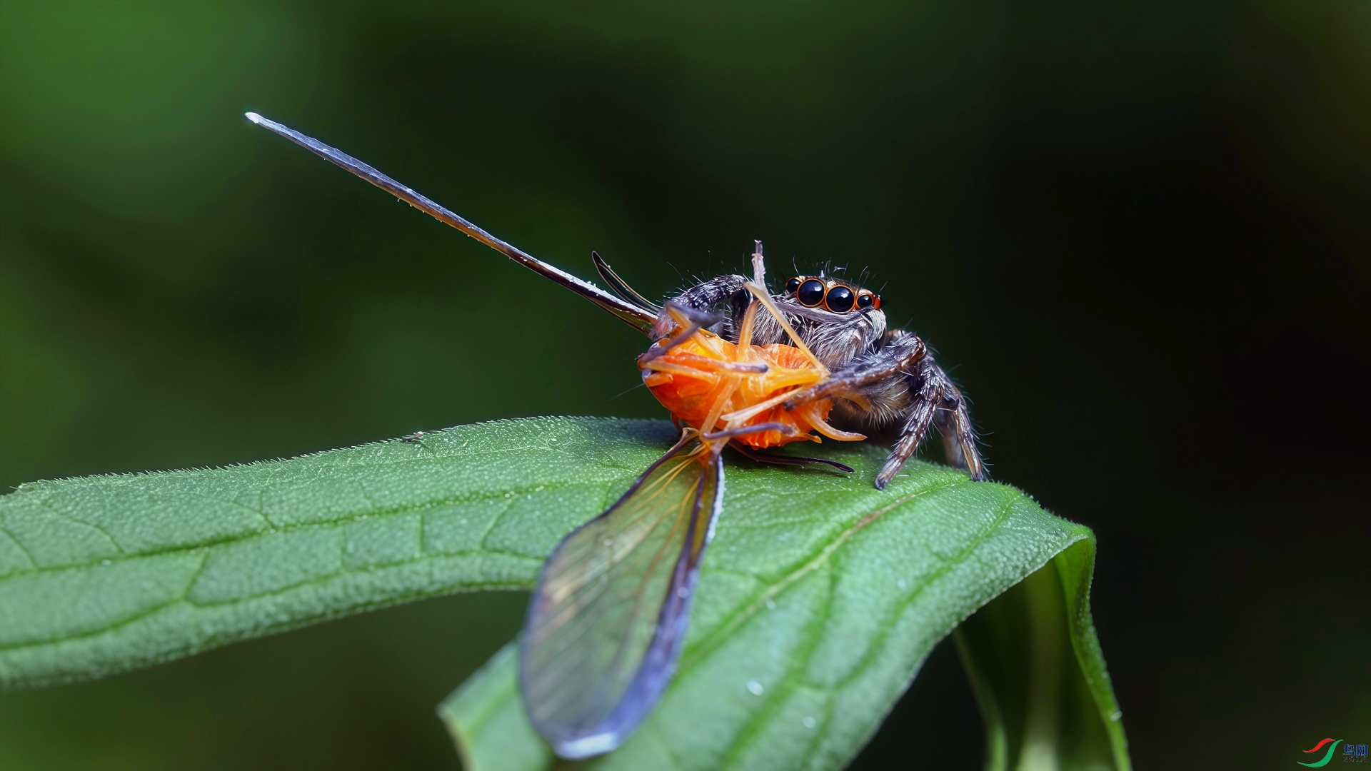 _FY55767_����.jpg