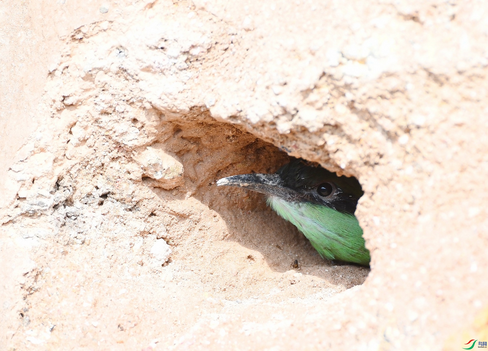 DSC_9913.jpg