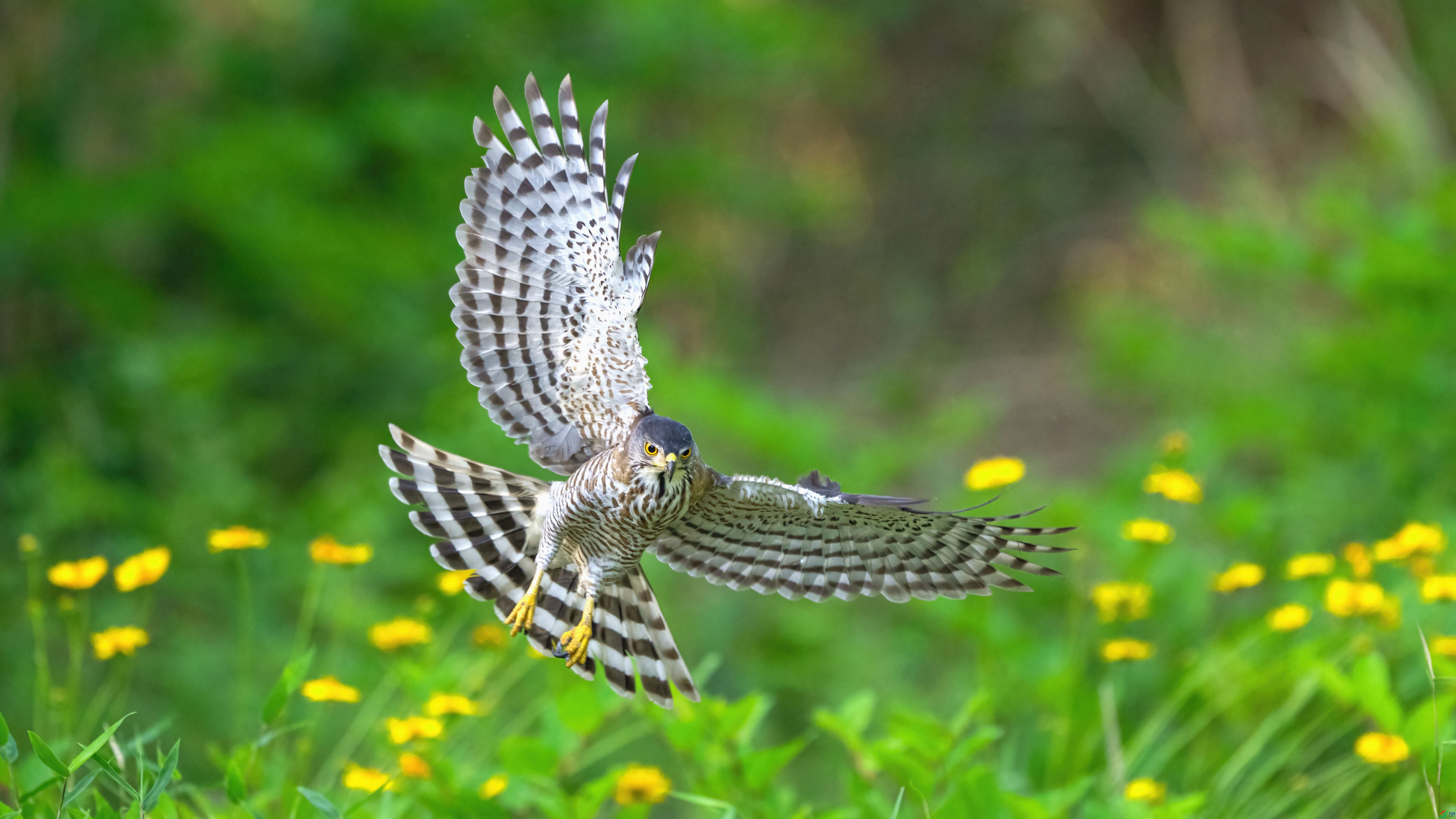 DSC_3915.jpg