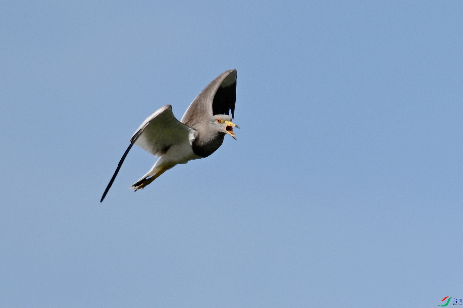 DSC_5194.JPG