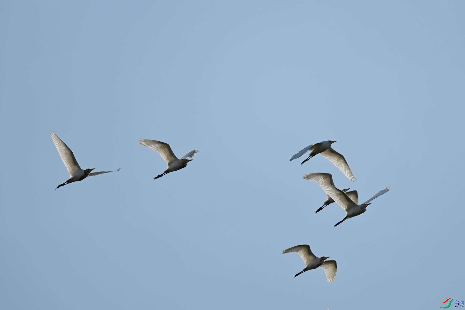 DSC_5188.JPG