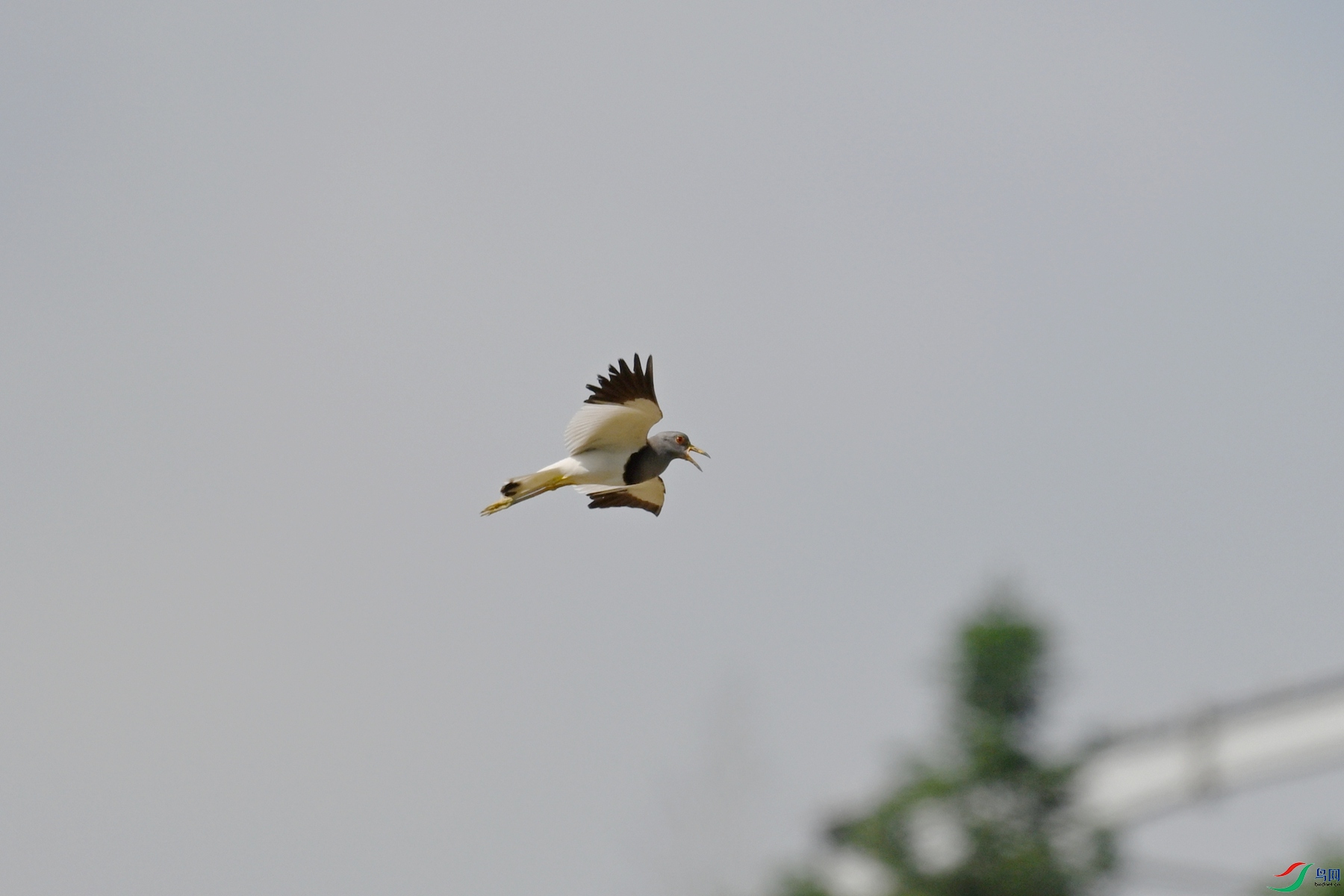 DSC_5209.JPG
