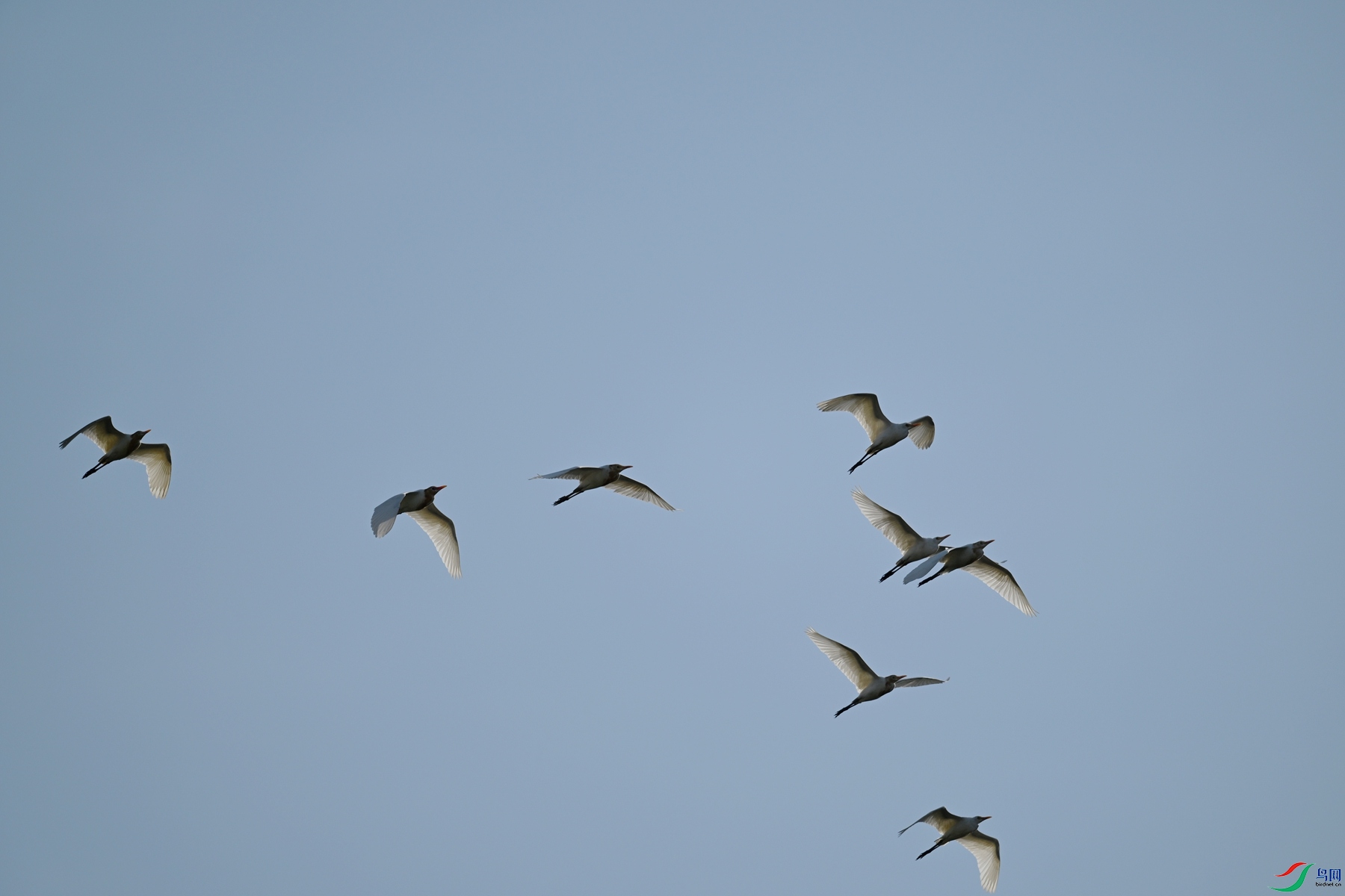 DSC_5190.JPG