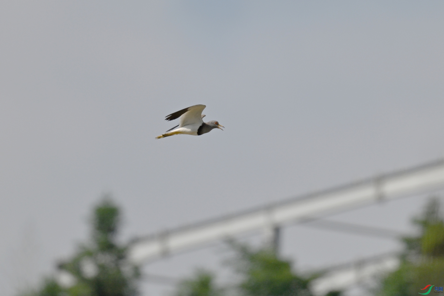 DSC_5211.JPG