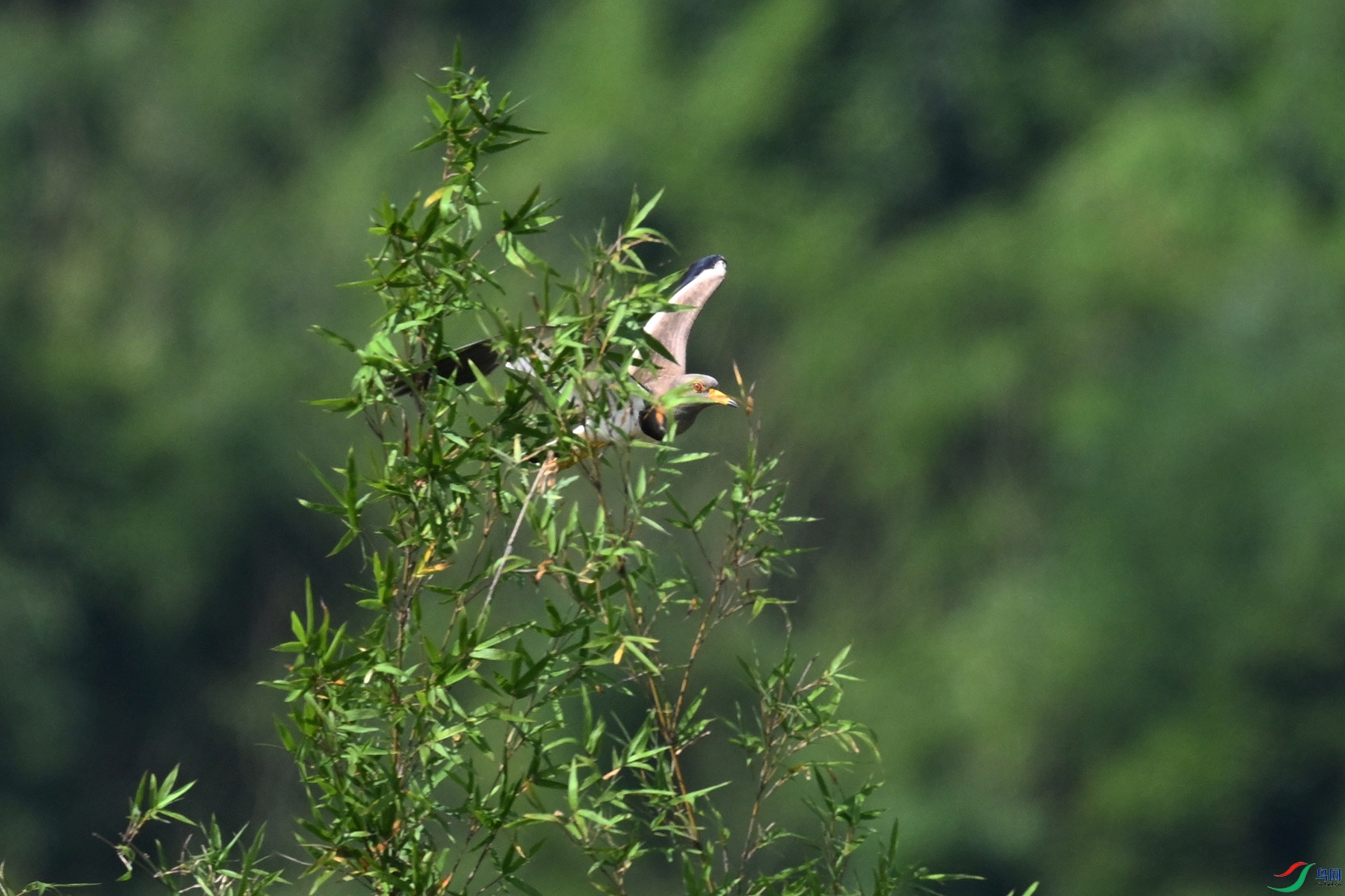 DSC_5215.JPG