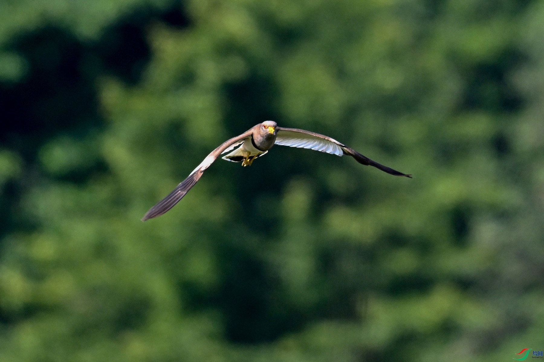DSC_5216.JPG