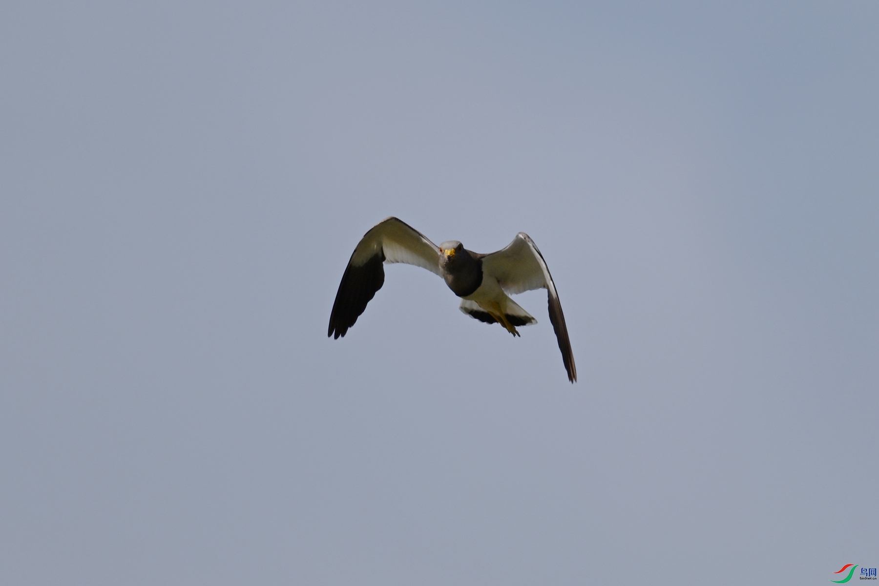 DSC_5221.JPG
