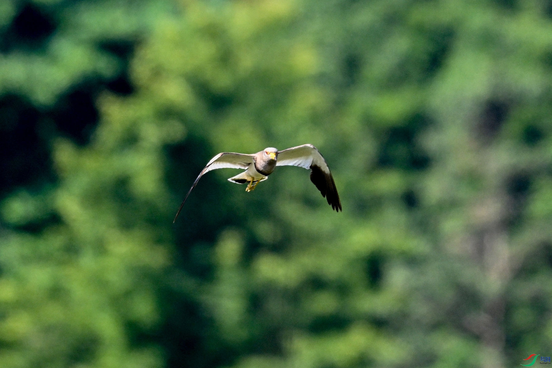 DSC_5217.JPG