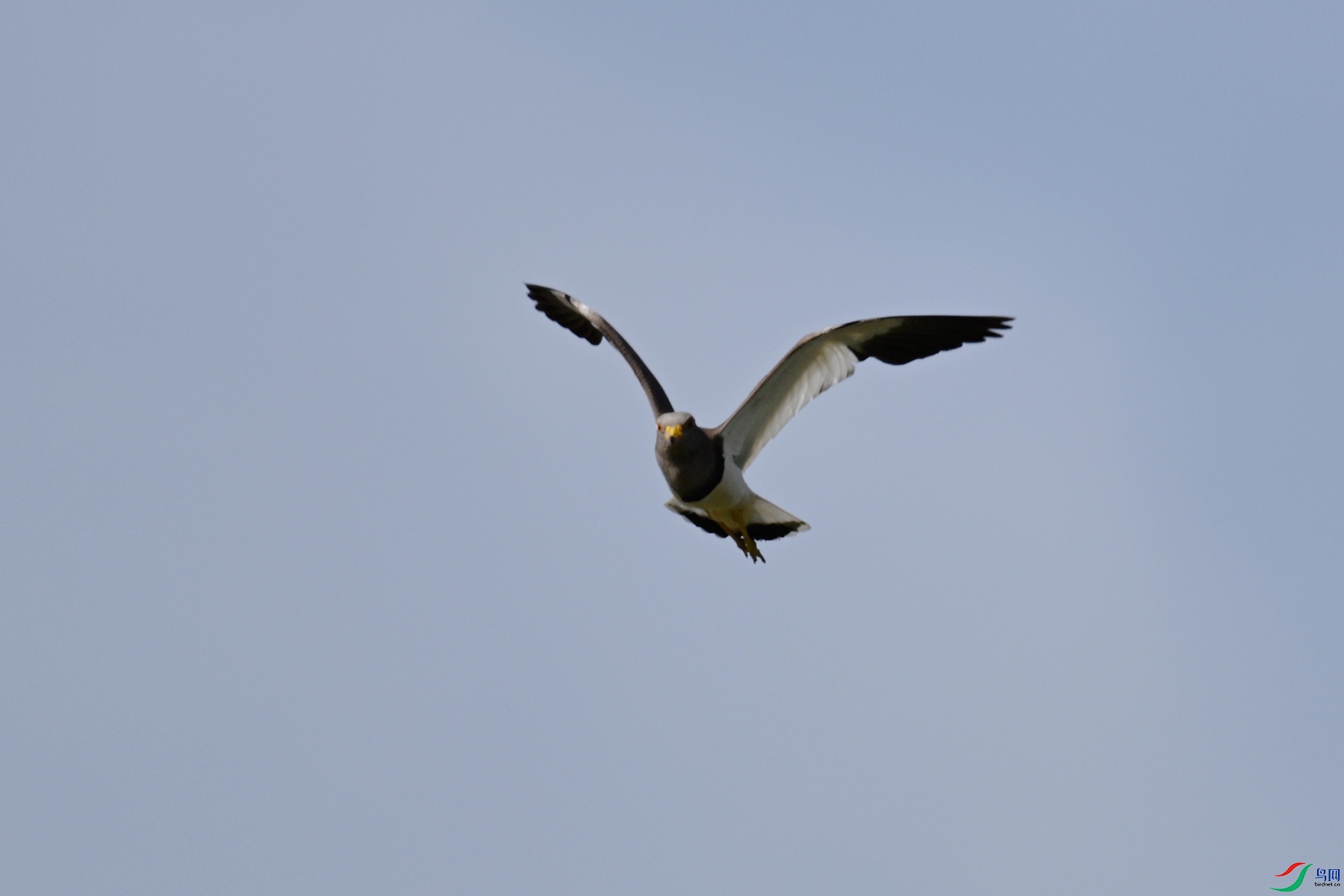DSC_5222.JPG