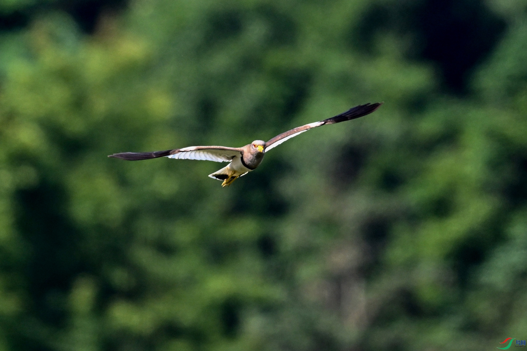 DSC_5219.JPG