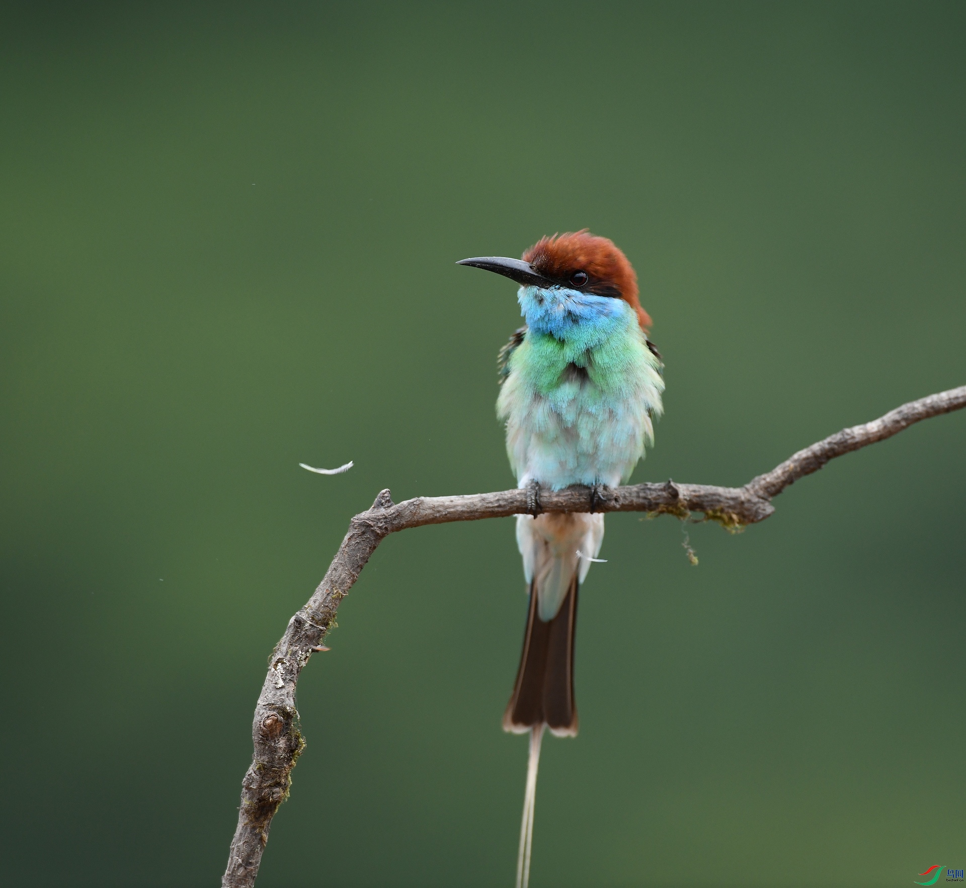 DSC_0955.jpg