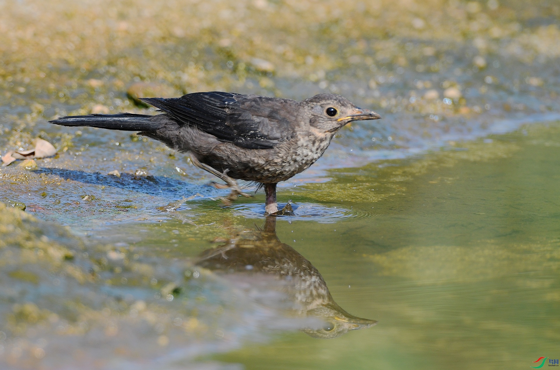 DSC_5055.jpg