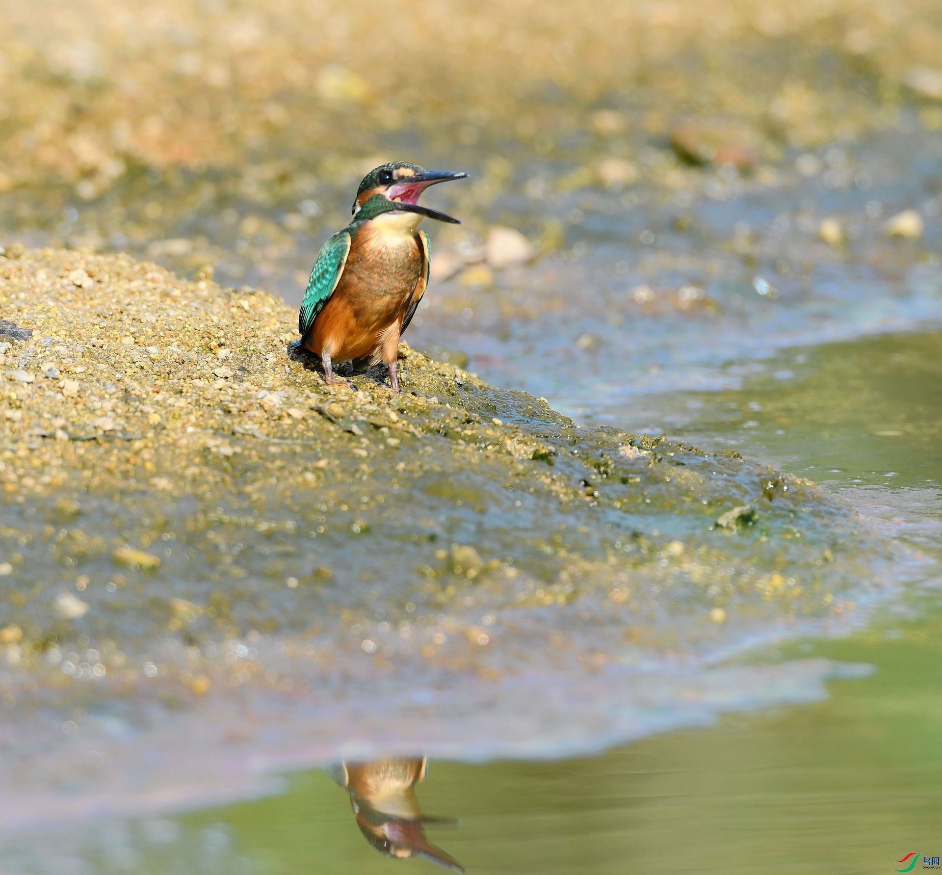 DSC_5061.jpg