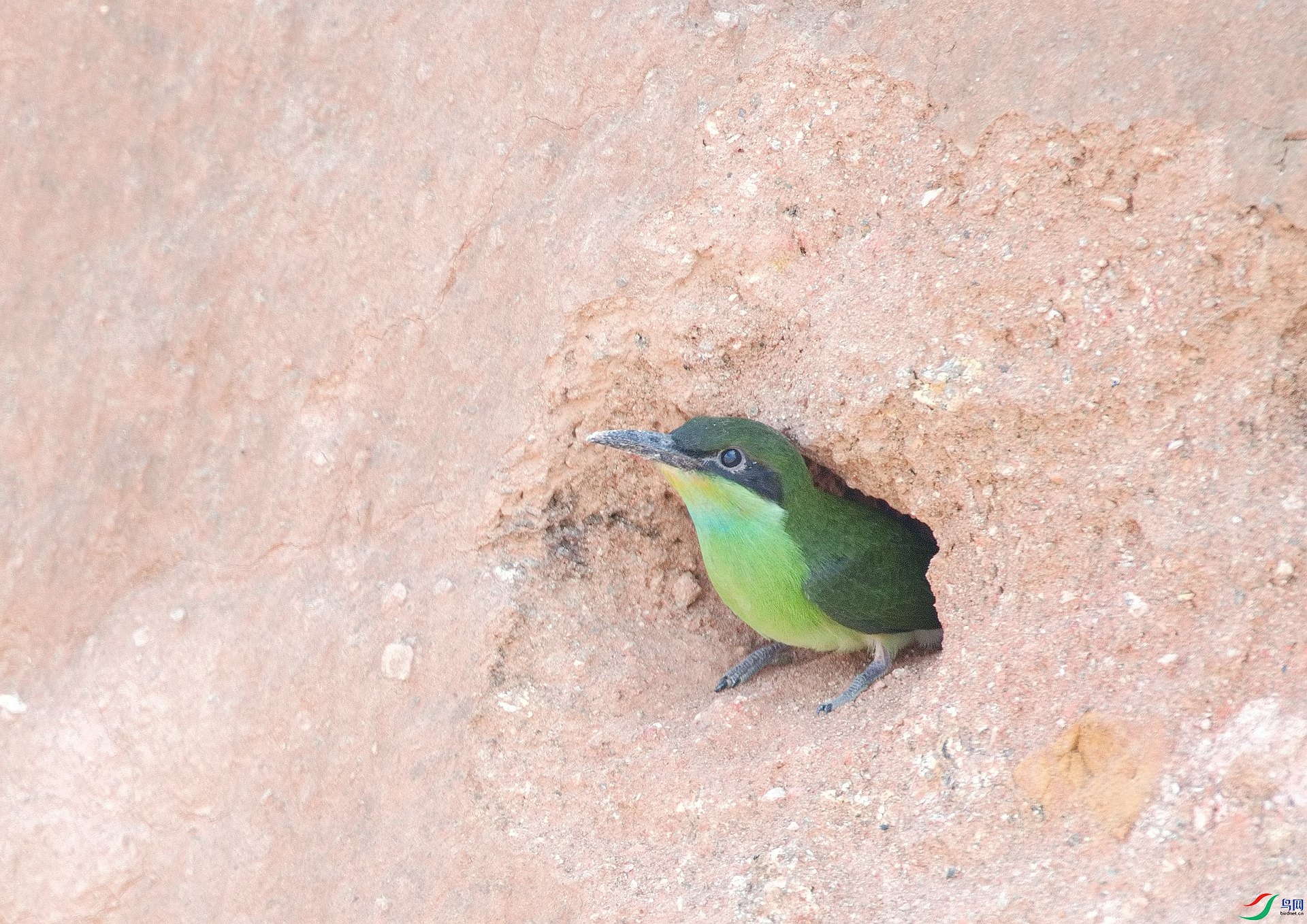 DSC_8646.jpg