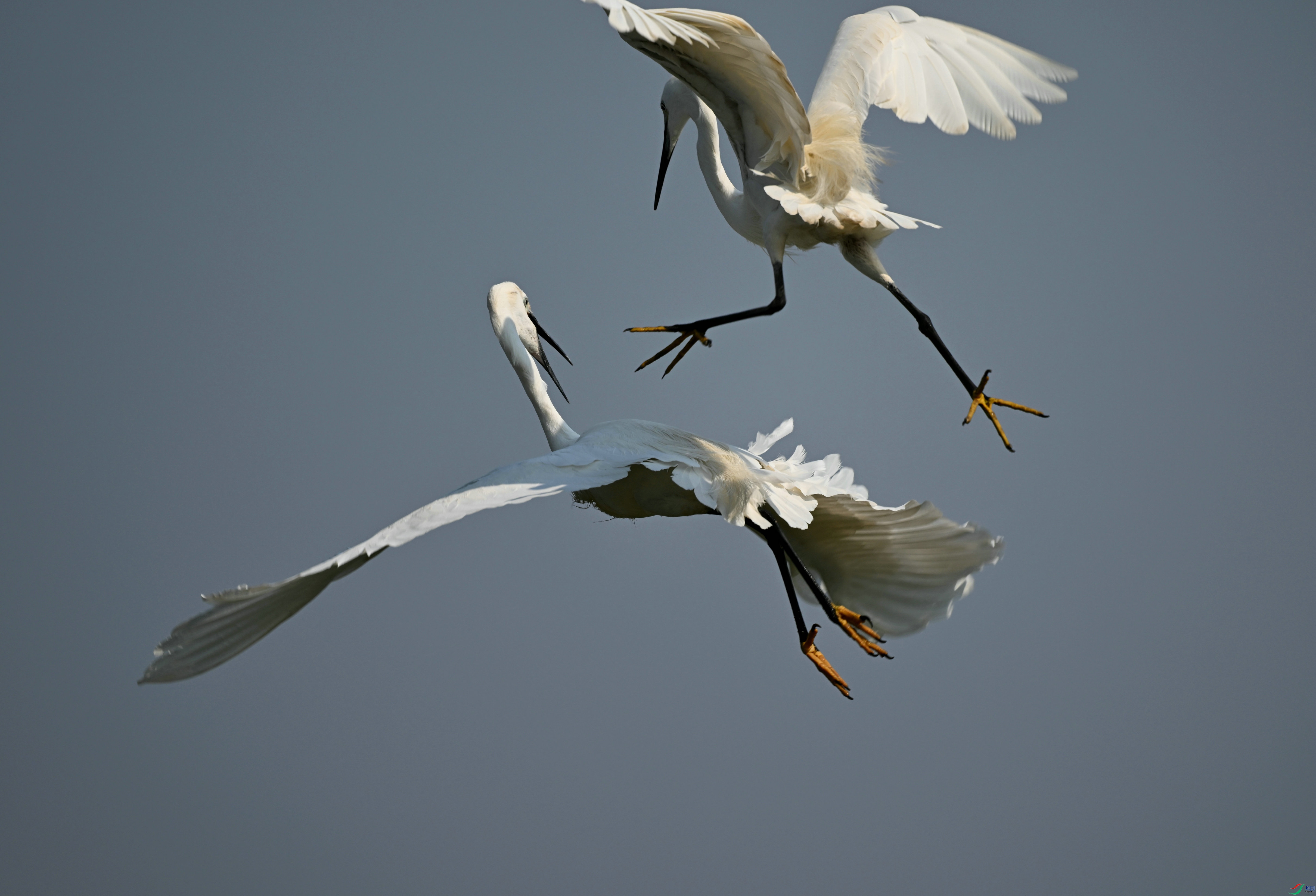 DSC_1873.jpg