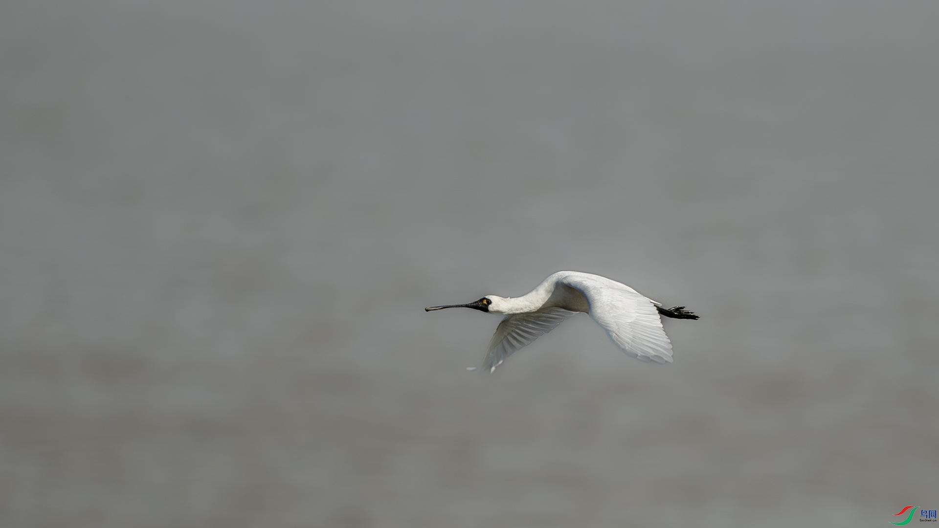 DSC_5836.jpg