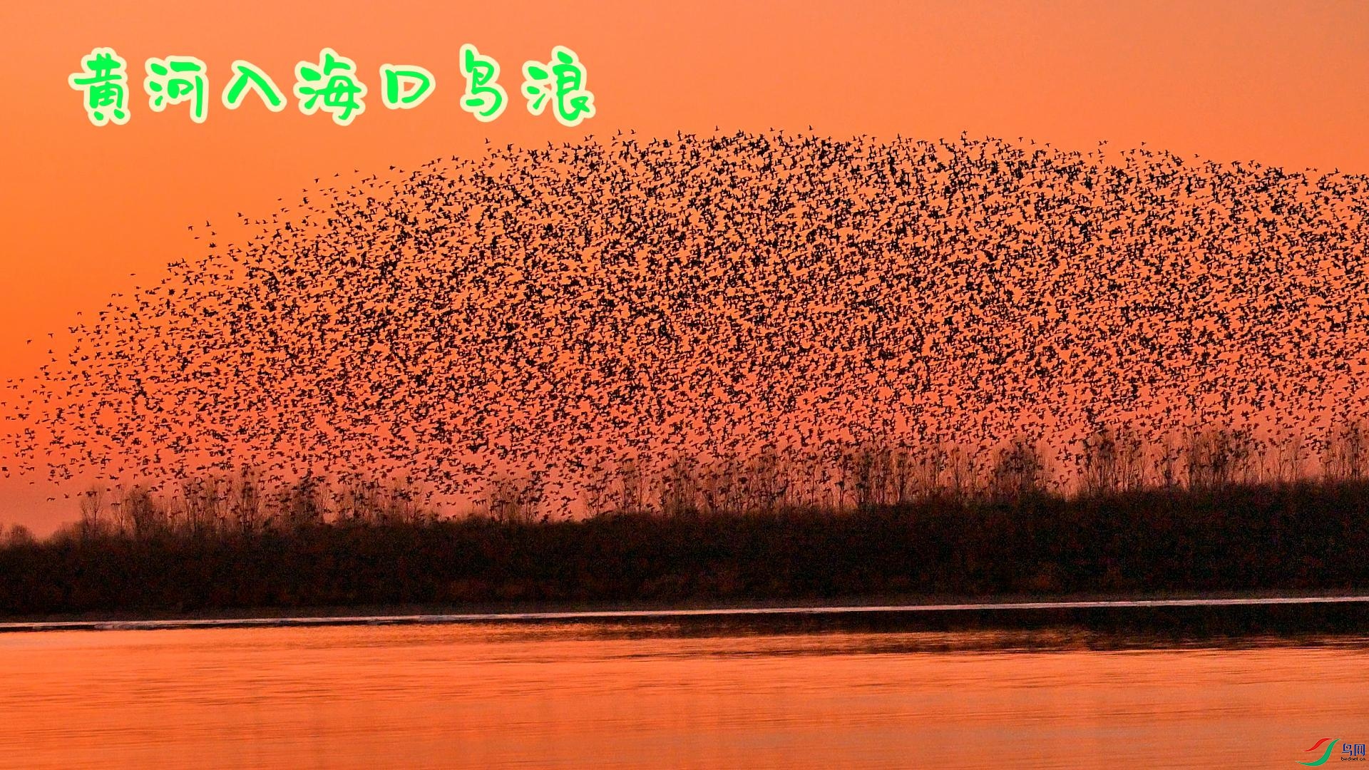 �ƺ��뺣������-����.jpg