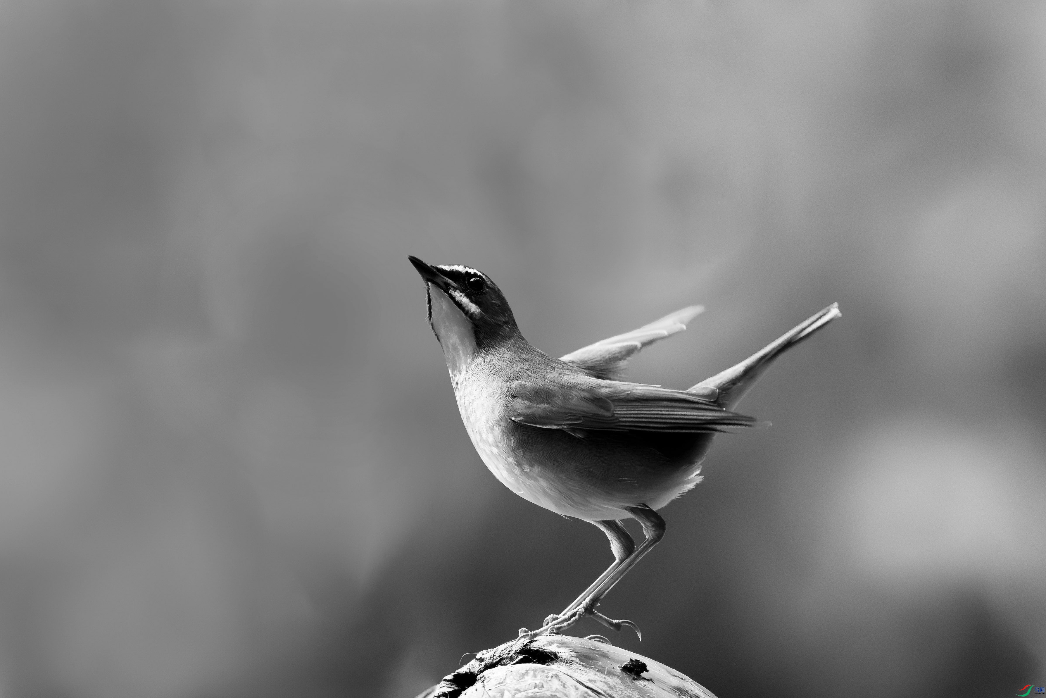 1E1A3771.jpg
