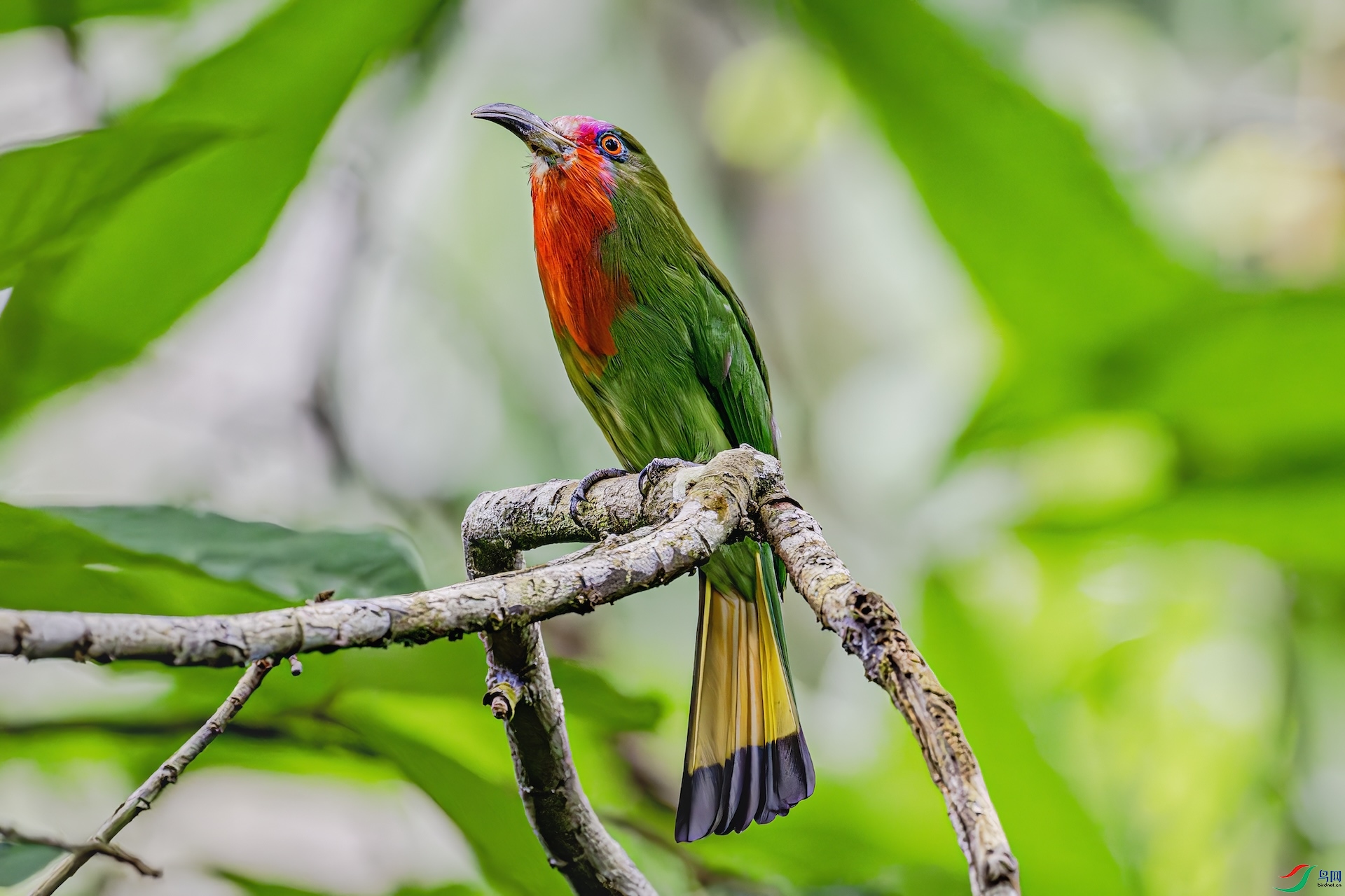 DSC_5306_����2.jpg