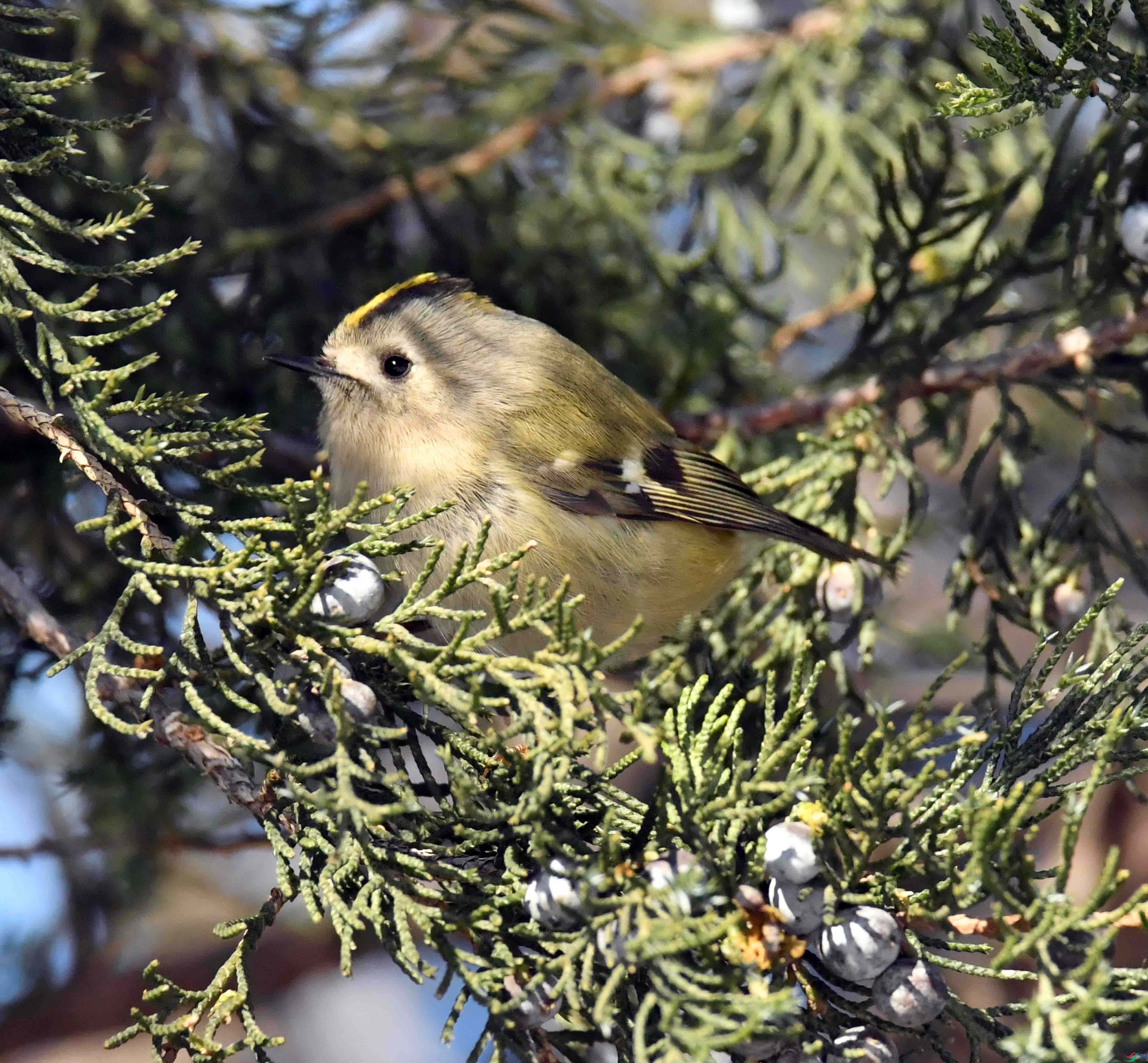 DSC_2876.JPG