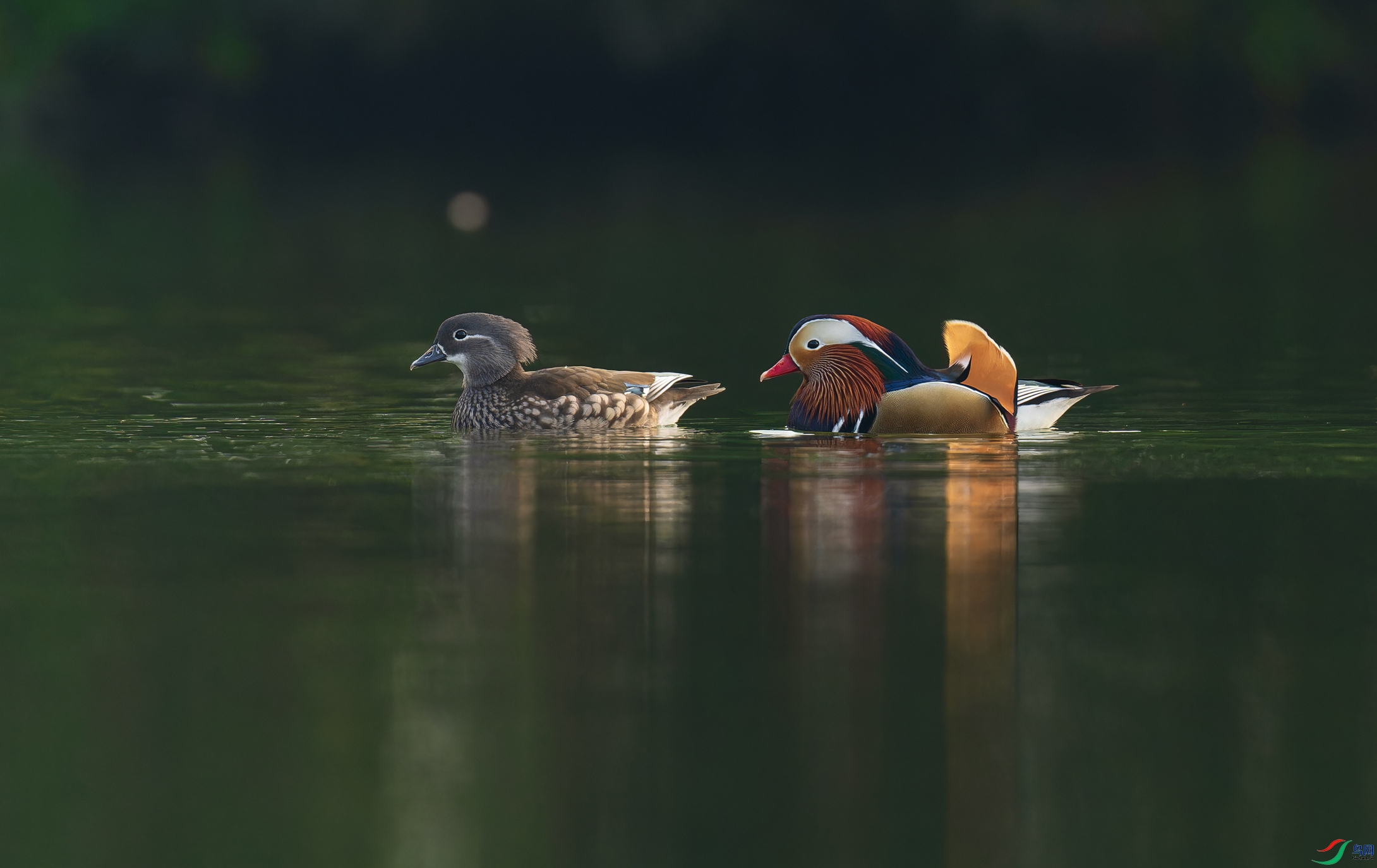 _DSC7129-NEF_DxO_DeepPRIMEXD.jpg