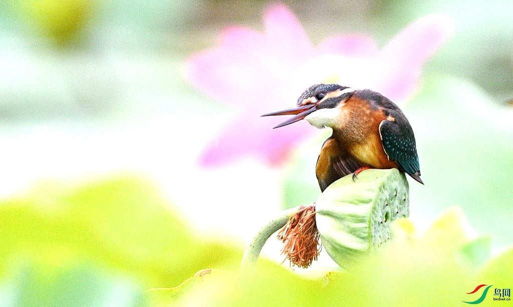 DSC_3641.JPG