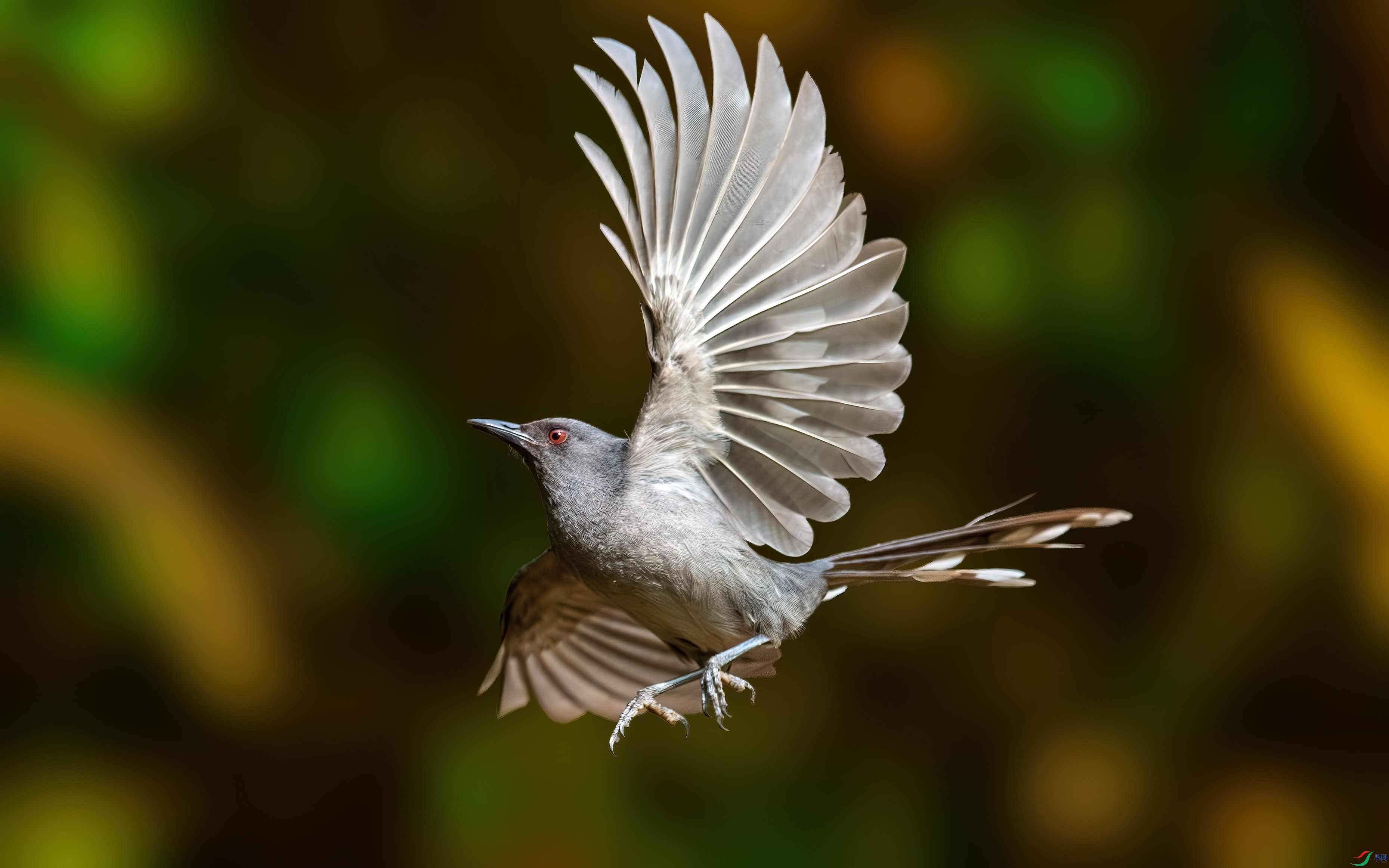 DSC_8588-����ǿ-NR.jpg